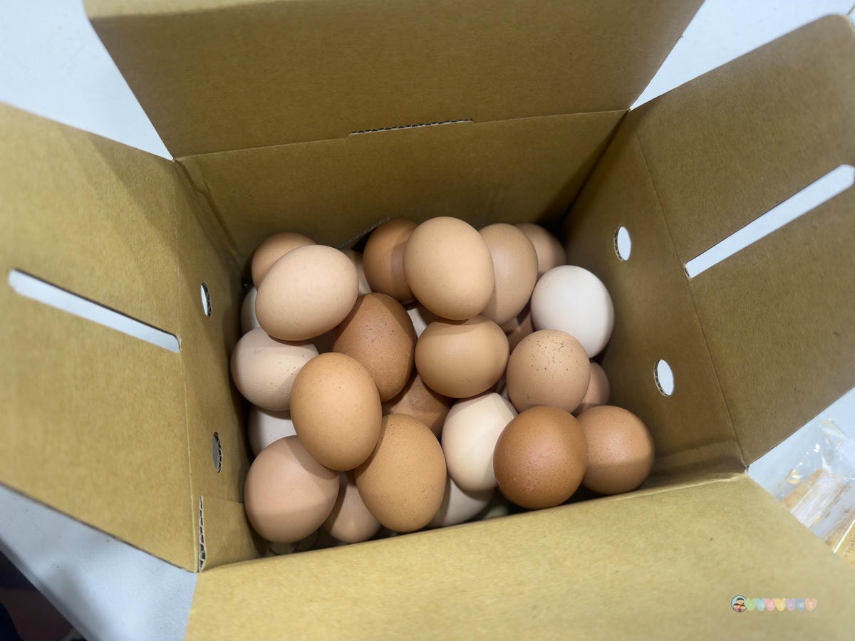北加州鸡蛋遭沙门氏菌污染逾1500打被召回| Vega Farms | 加州公共卫生部| 鸡蛋召回| 大纪元, image size:1200x900