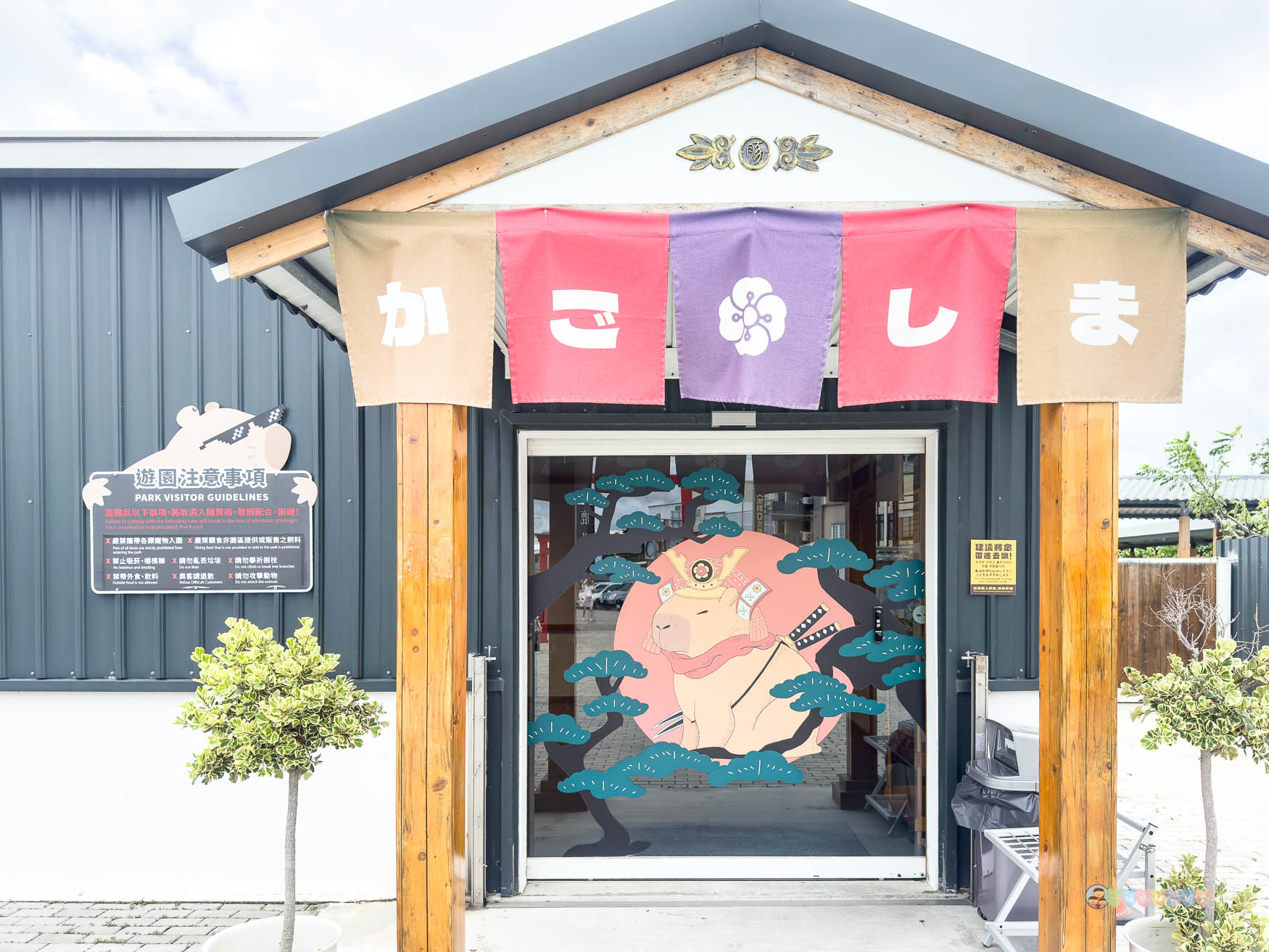 屏東|墾丁鹿ㄦ島水豚生態園區》全台唯一水豚共游,超可愛侏儒羊、日式鳥居好好拍。 - 第7張圖