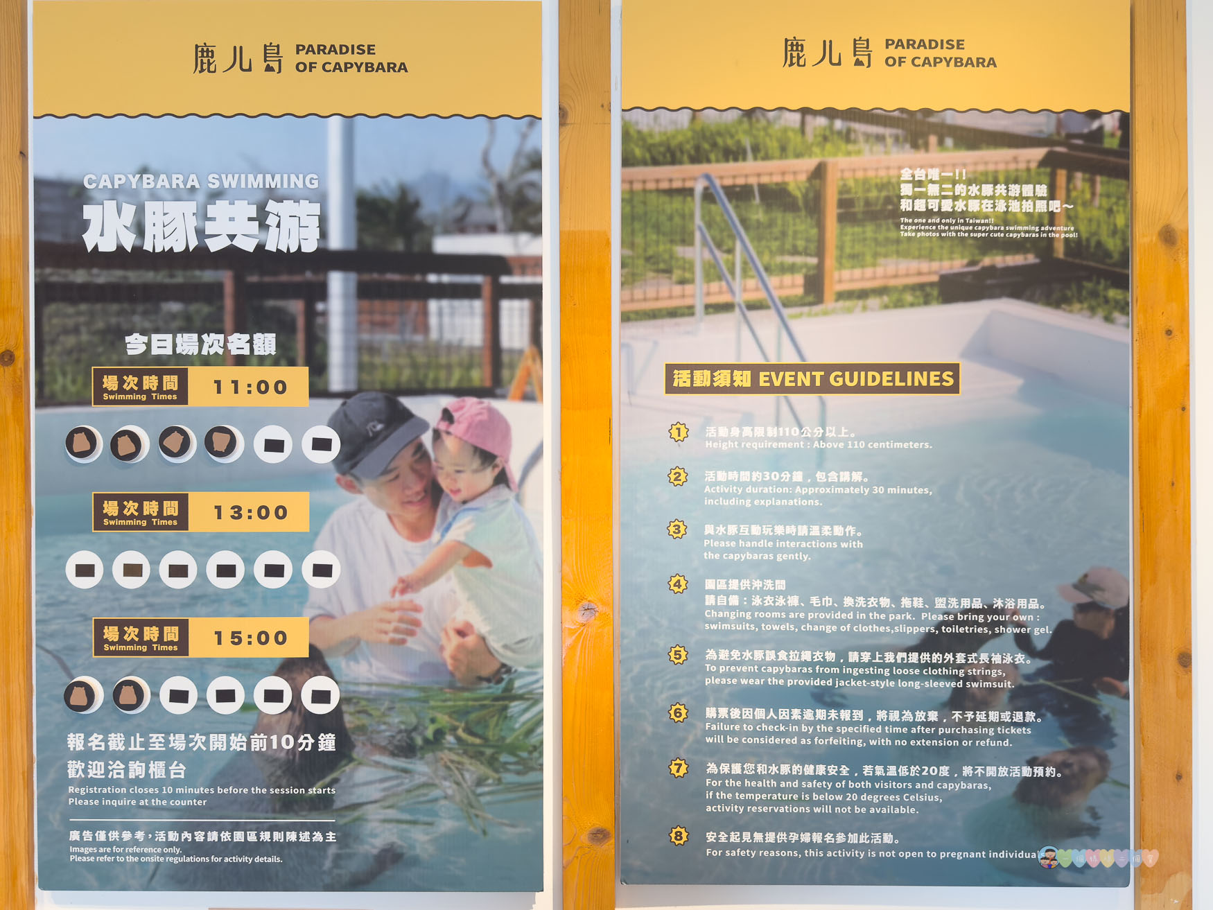 屏東|墾丁鹿ㄦ島水豚生態園區》全台唯一水豚共游,超可愛侏儒羊、日式鳥居好好拍。 - 第3張圖