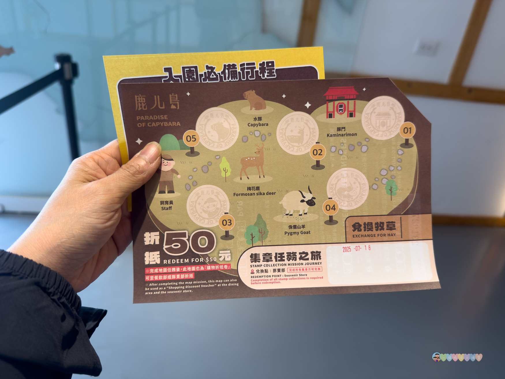 屏東|墾丁鹿ㄦ島水豚生態園區》全台唯一水豚共游,超可愛侏儒羊、日式鳥居好好拍。 - 第4張圖