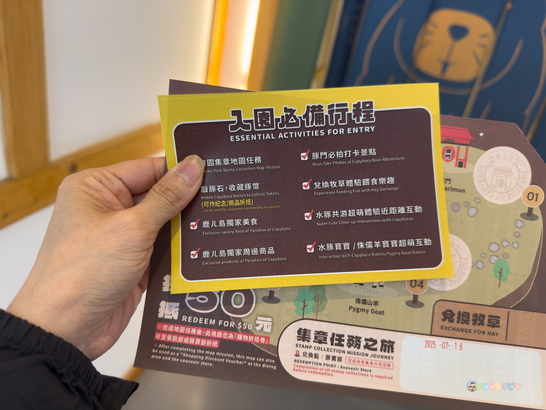 屏東|墾丁鹿ㄦ島水豚生態園區》全台唯一水豚共游,超可愛侏儒羊、日式鳥居好好拍。 - 第5張圖