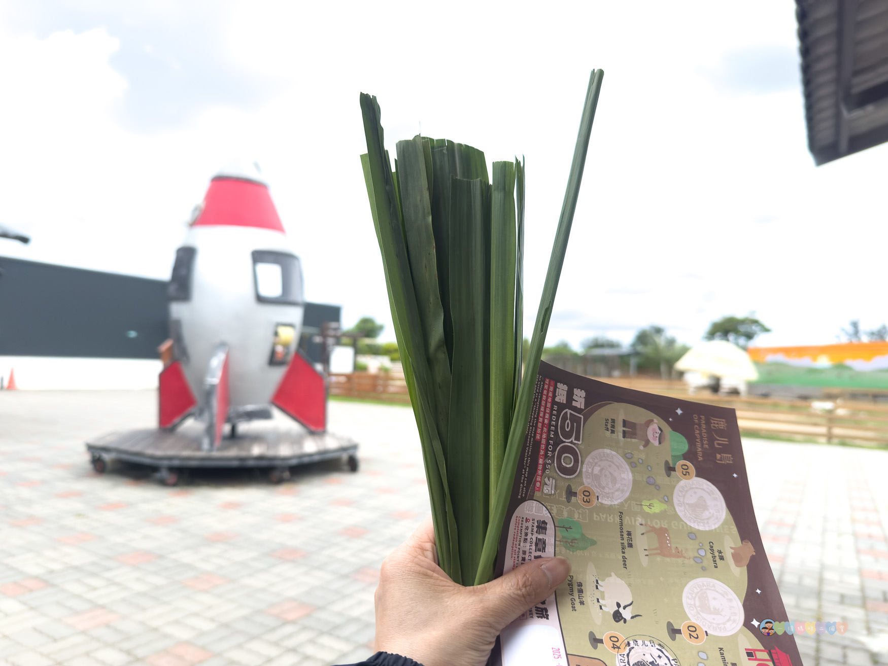 屏東|墾丁鹿ㄦ島水豚生態園區》全台唯一水豚共游,超可愛侏儒羊、日式鳥居好好拍。 - 第12張圖