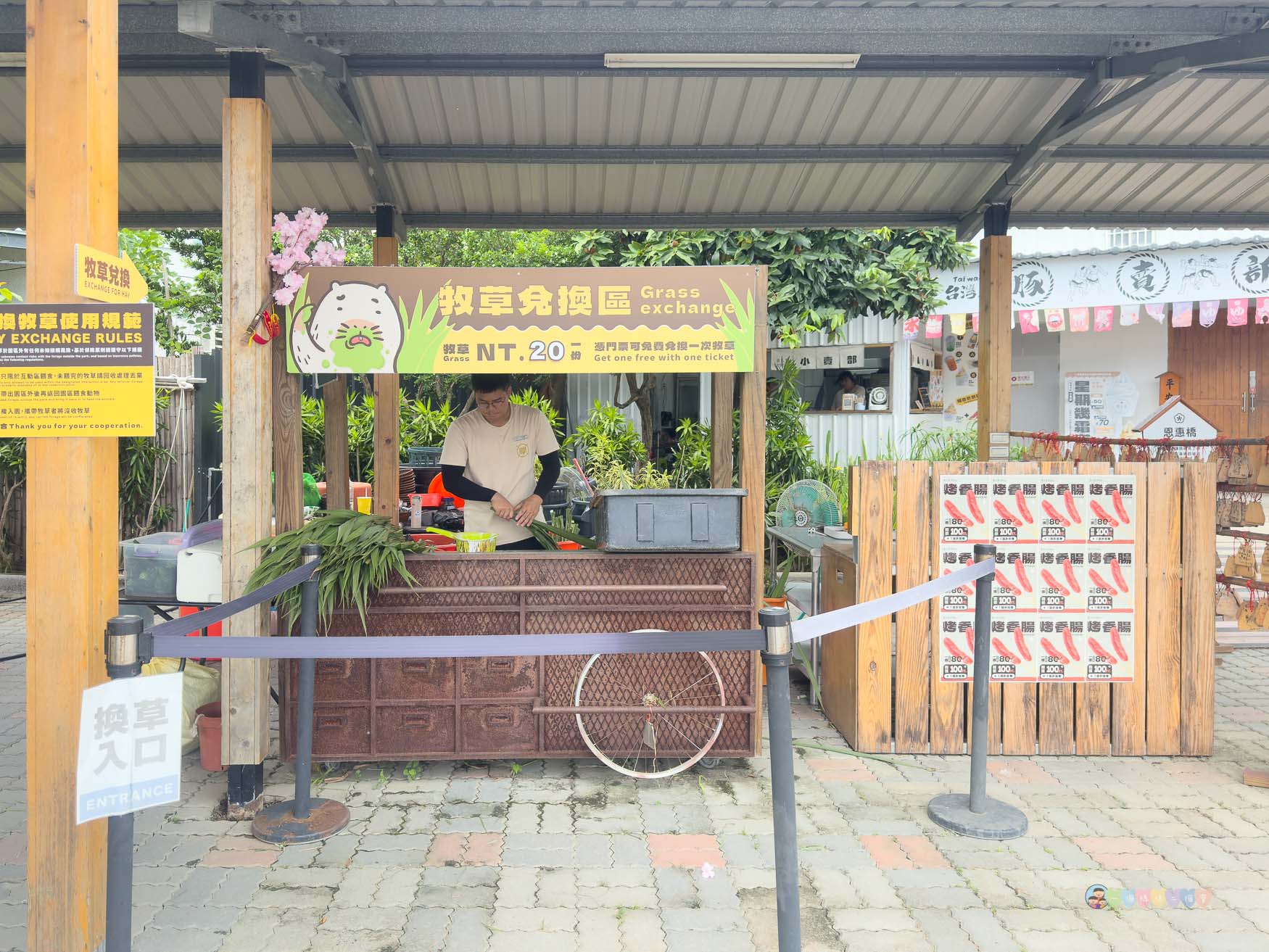 屏東|墾丁鹿ㄦ島水豚生態園區》全台唯一水豚共游,超可愛侏儒羊、日式鳥居好好拍。 - 第10張圖