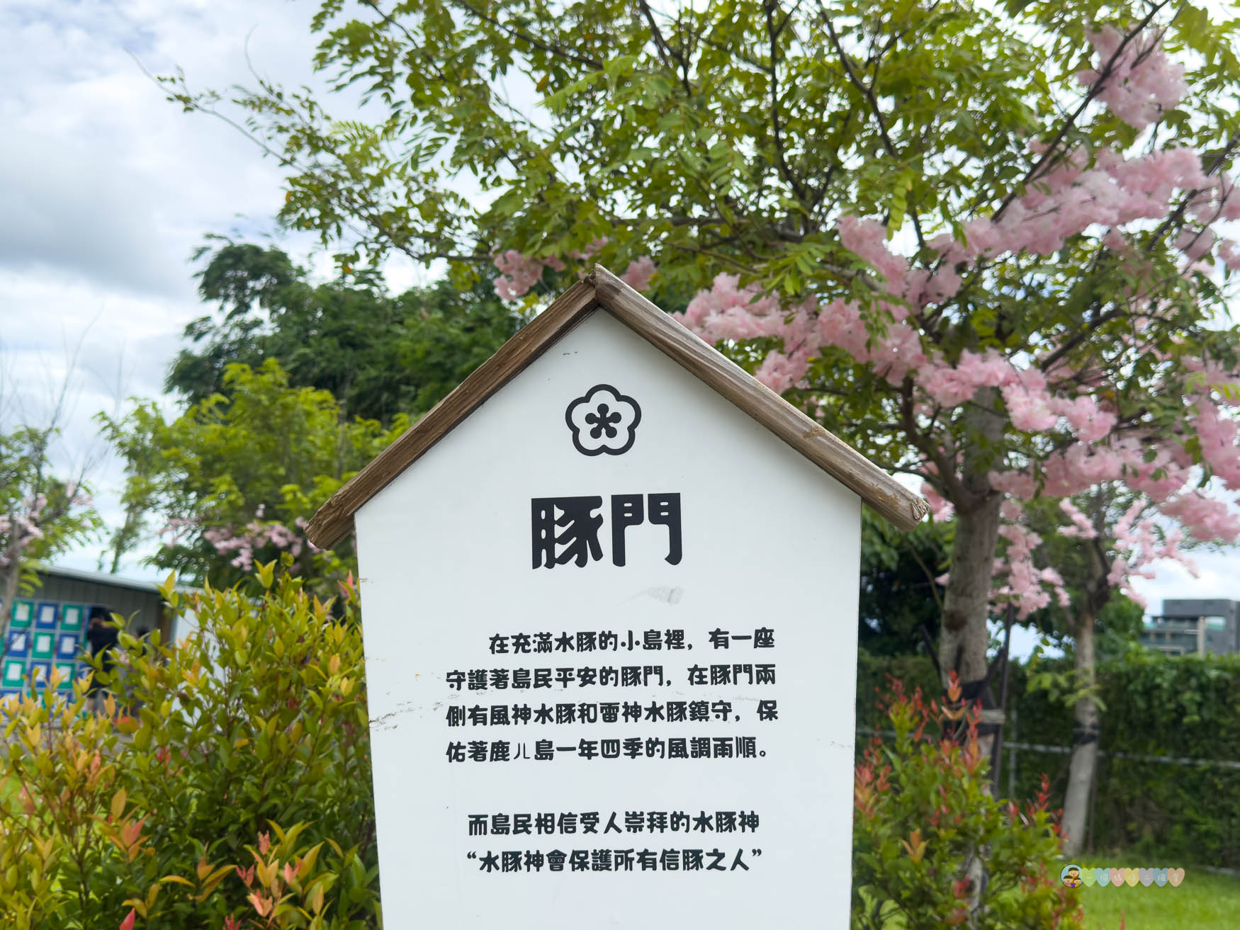 屏東|墾丁鹿ㄦ島水豚生態園區》全台唯一水豚共游,超可愛侏儒羊、日式鳥居好好拍。 - 第39張圖