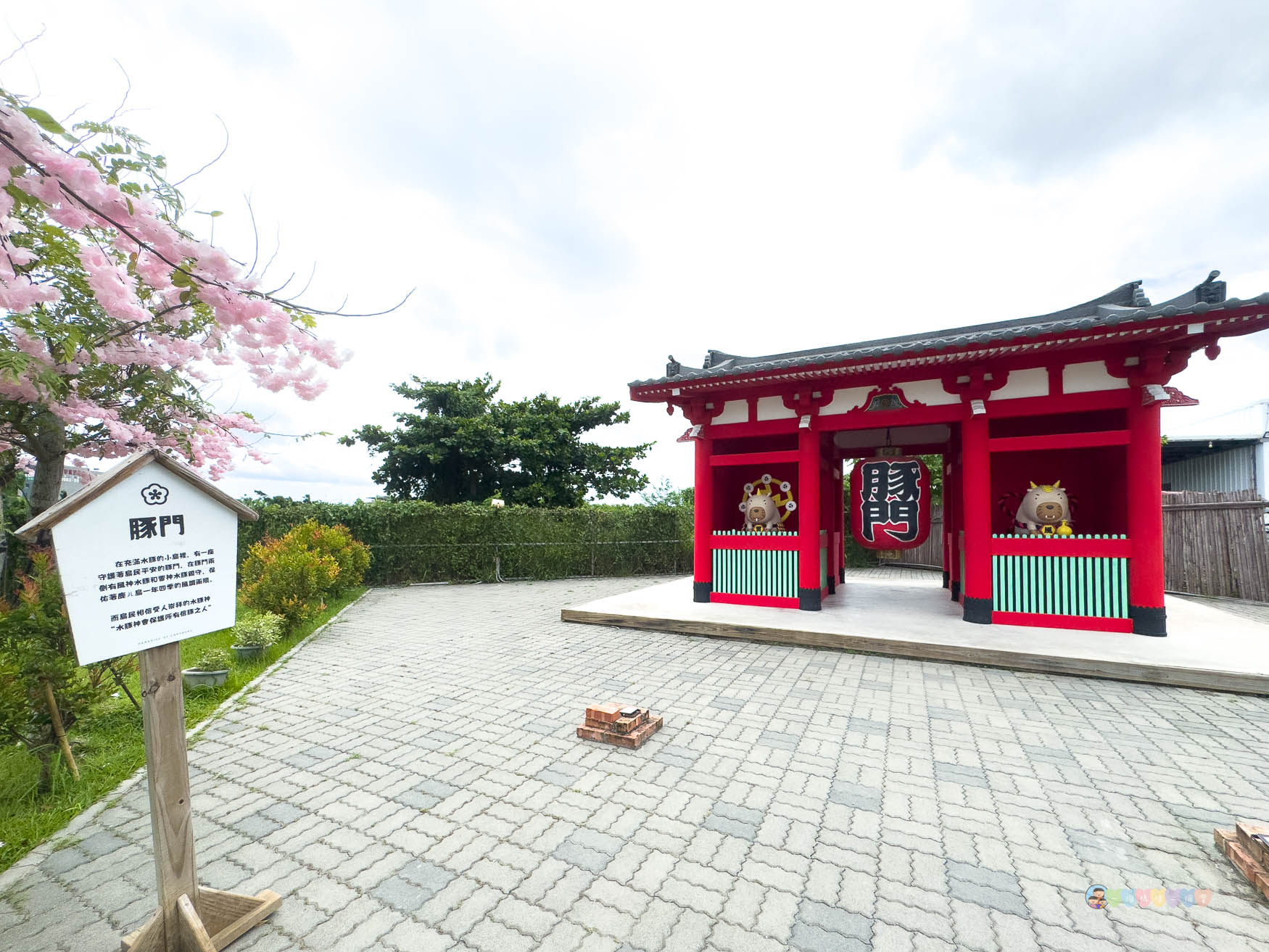 屏東|墾丁鹿ㄦ島水豚生態園區》全台唯一水豚共游,超可愛侏儒羊、日式鳥居好好拍。 - 第38張圖
