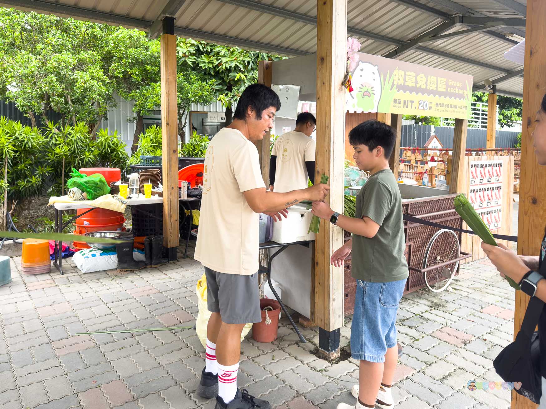 屏東|墾丁鹿ㄦ島水豚生態園區》全台唯一水豚共游,超可愛侏儒羊、日式鳥居好好拍。 - 第11張圖