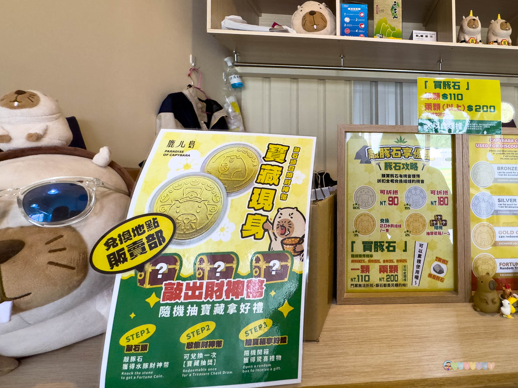 屏東|墾丁鹿ㄦ島水豚生態園區》全台唯一水豚共游,超可愛侏儒羊、日式鳥居好好拍。 - 第41張圖