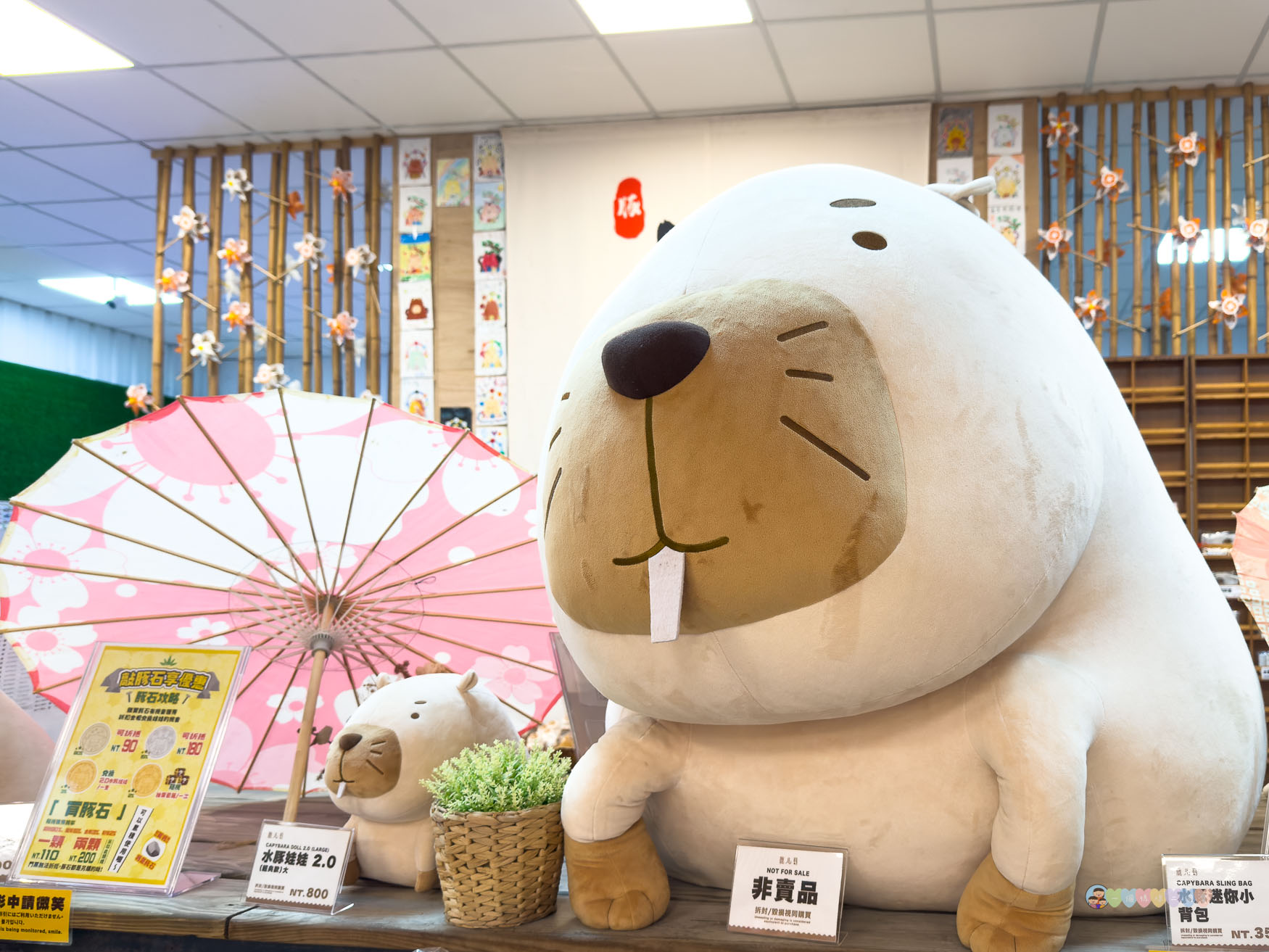 屏東|墾丁鹿ㄦ島水豚生態園區》全台唯一水豚共游,超可愛侏儒羊、日式鳥居好好拍。 - 第52張圖