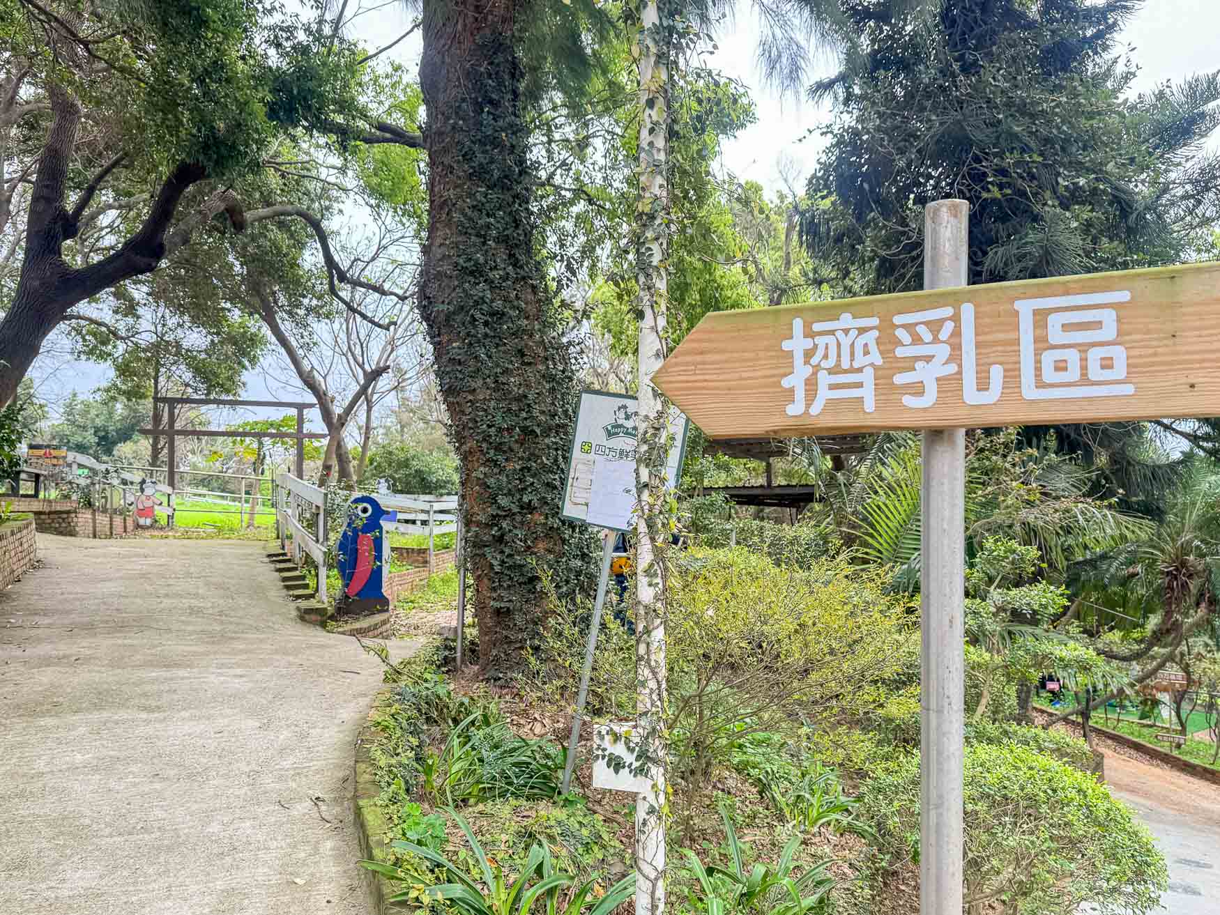 苗栗|四方鮮乳牧場》2025門票資訊,大型滑草區、草皮活動區、鮮乳饅頭、鮮乳冰淇淋。 - 第34張圖