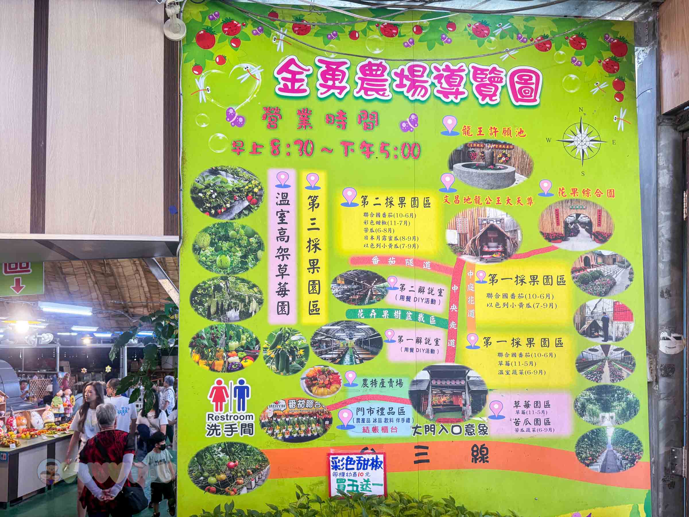 新竹|金勇番茄農場》免門票景點,世界各國番茄聯合國,採番茄,搗麻糬、diy體驗。 - 第35張圖