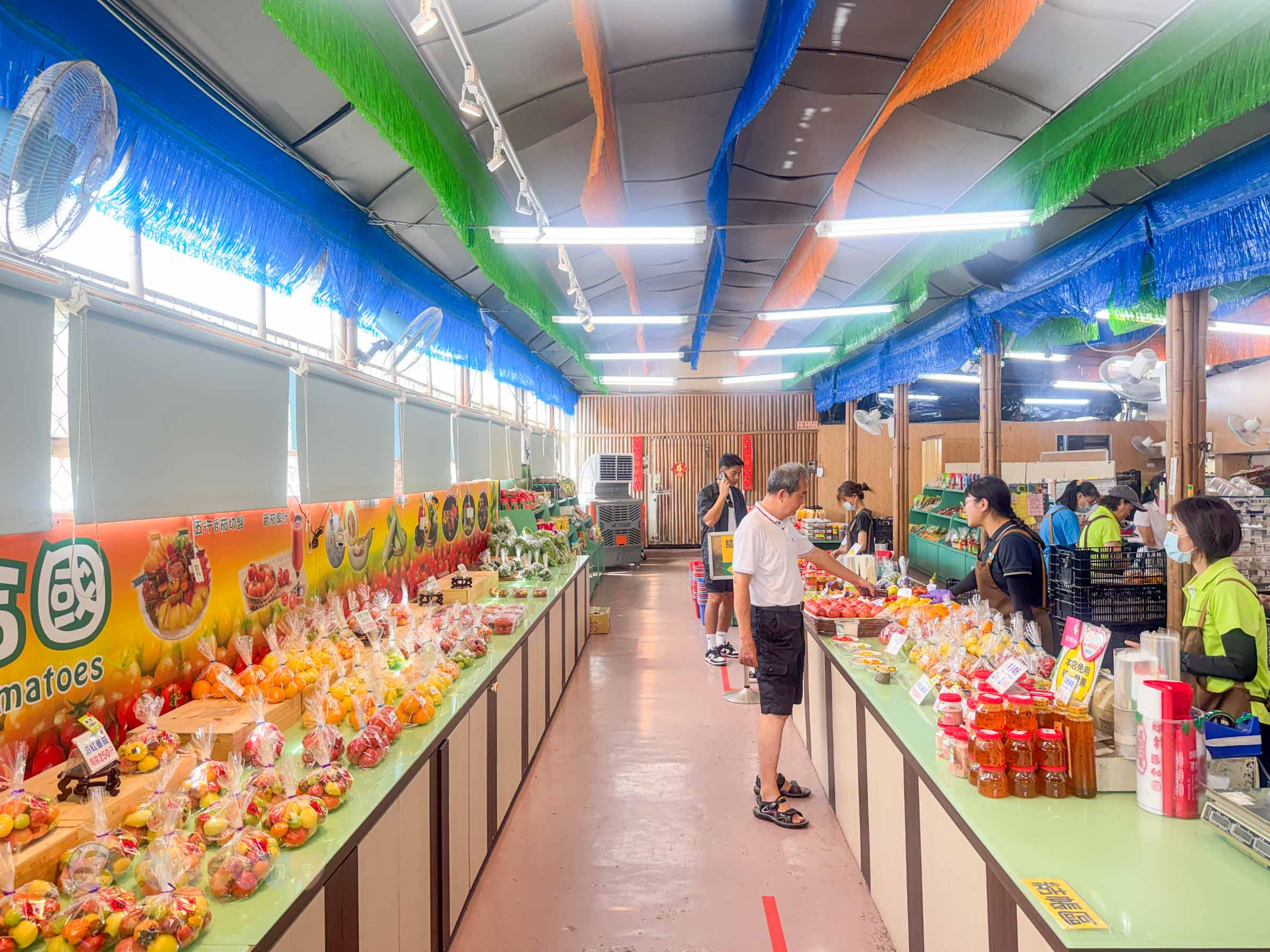 新竹|金勇番茄農場》免門票景點,世界各國番茄聯合國,採番茄,搗麻糬、diy體驗。 - 第5張圖