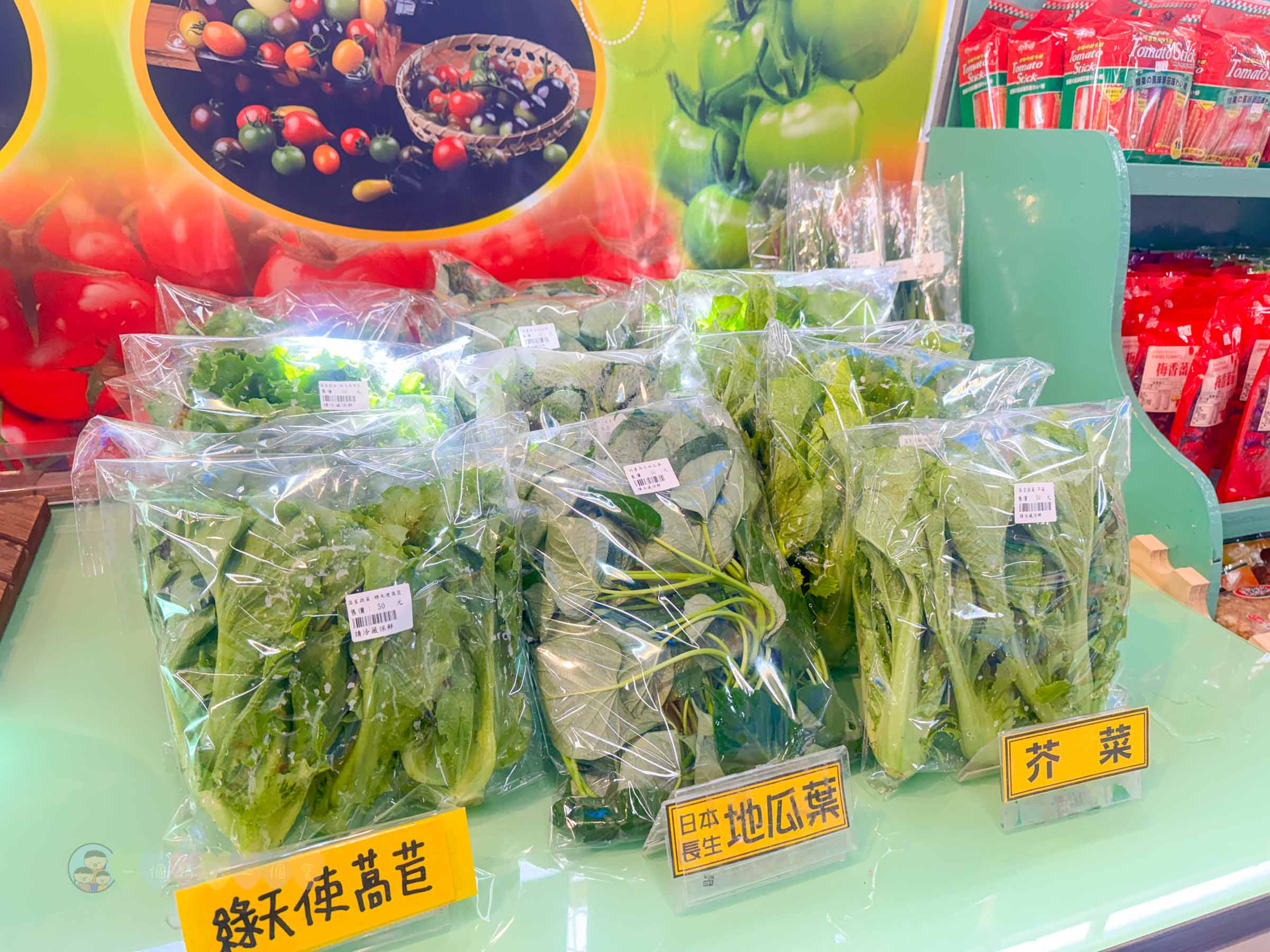 新竹|金勇番茄農場》免門票景點,世界各國番茄聯合國,採番茄,搗麻糬、diy體驗。 - 第19張圖