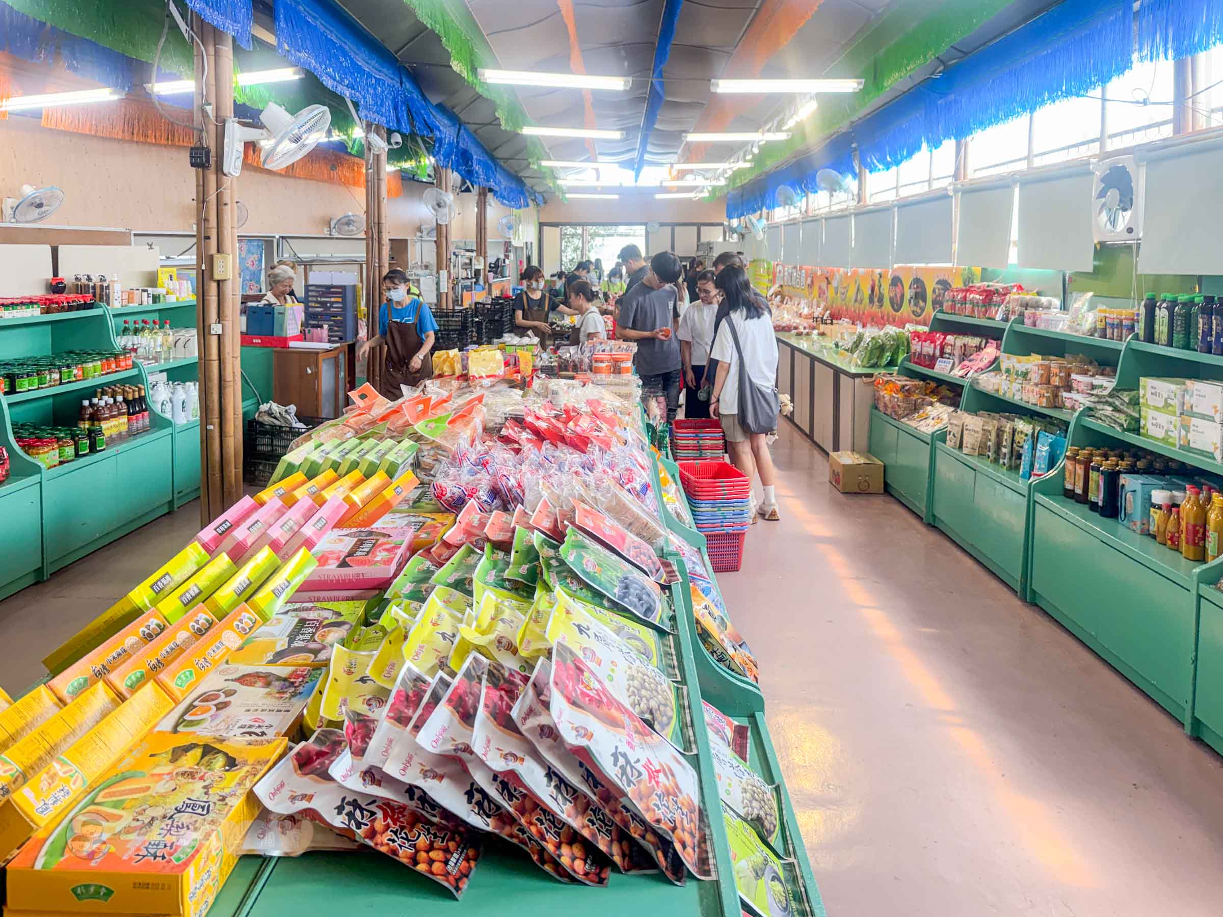 新竹|金勇番茄農場》免門票景點,世界各國番茄聯合國,採番茄,搗麻糬、diy體驗。 - 第20張圖