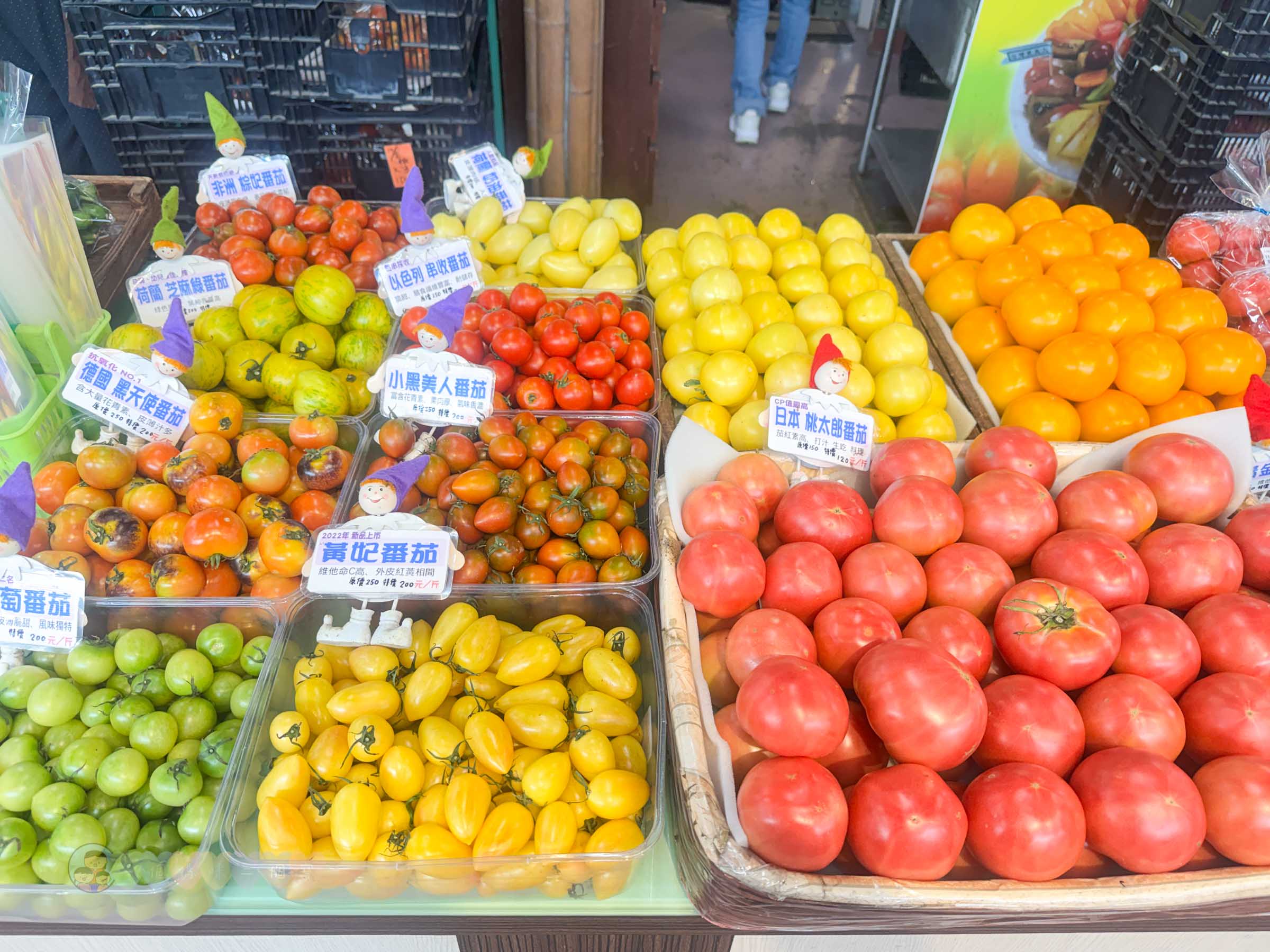 新竹|金勇番茄農場》免門票景點,世界各國番茄聯合國,採番茄,搗麻糬、diy體驗。 - 第11張圖