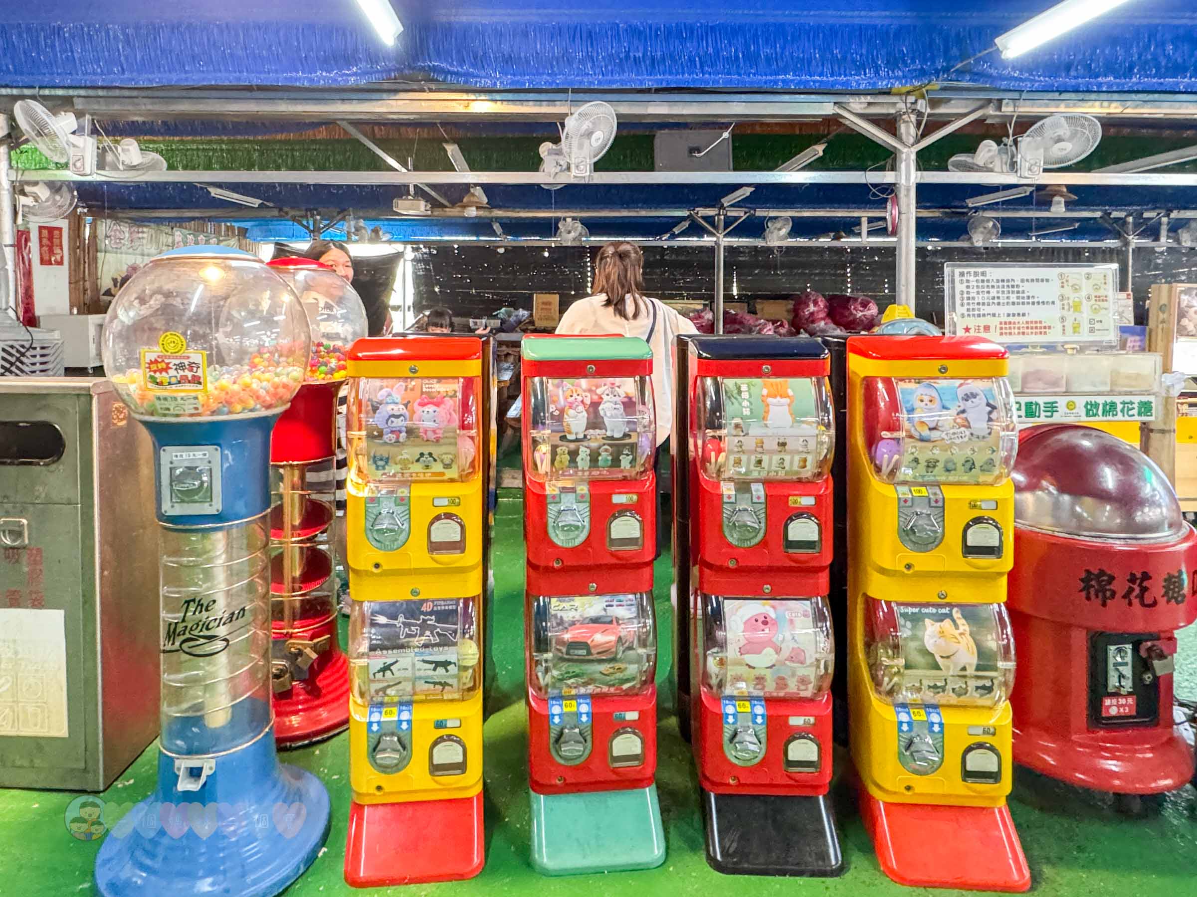 新竹|金勇番茄農場》免門票景點,世界各國番茄聯合國,採番茄,搗麻糬、diy體驗。 - 第29張圖