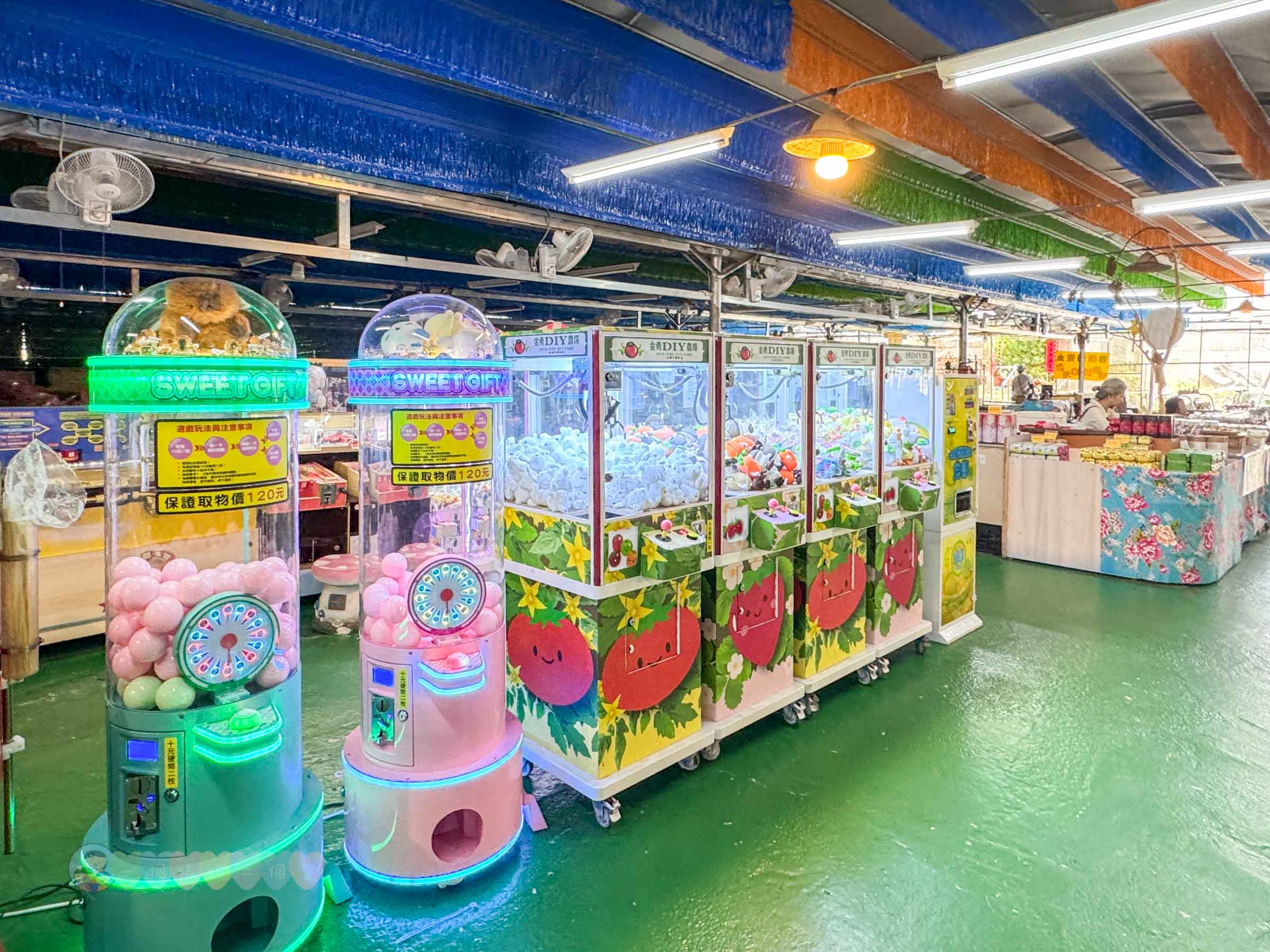 新竹|金勇番茄農場》免門票景點,世界各國番茄聯合國,採番茄,搗麻糬、diy體驗。 - 第30張圖