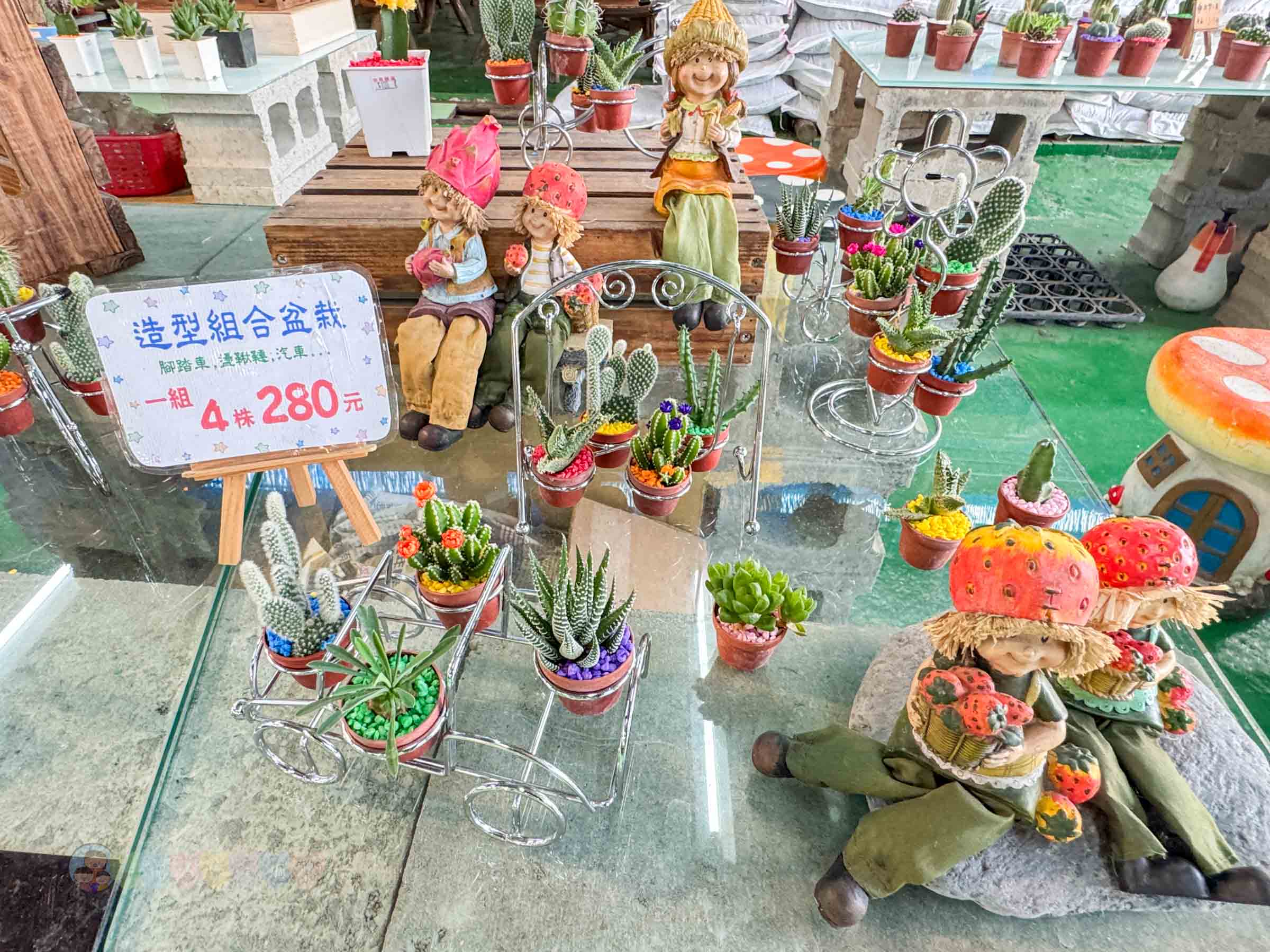 新竹|金勇番茄農場》免門票景點,世界各國番茄聯合國,採番茄,搗麻糬、diy體驗。 - 第33張圖