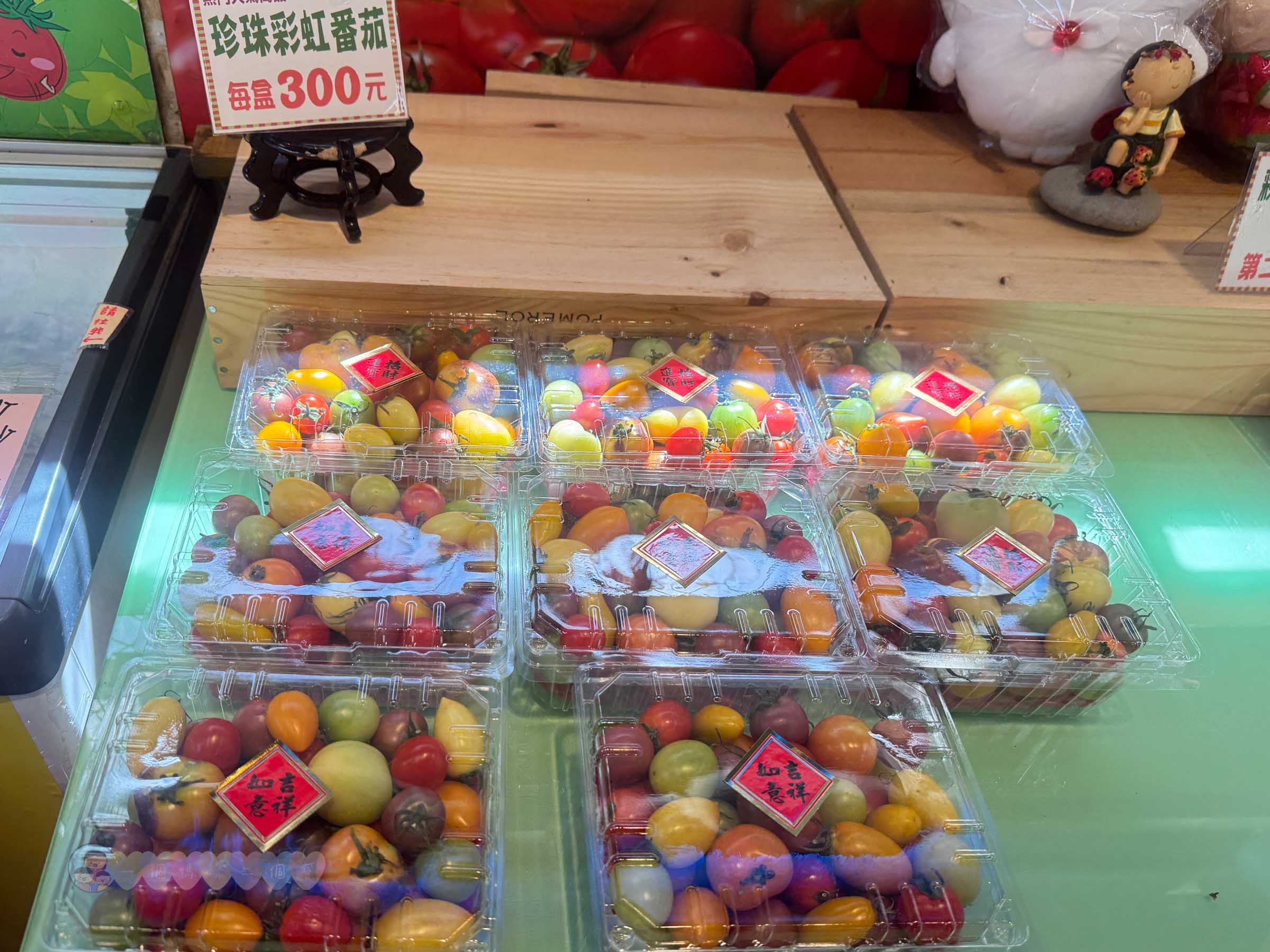 新竹|金勇番茄農場》免門票景點,世界各國番茄聯合國,採番茄,搗麻糬、diy體驗。 - 第14張圖