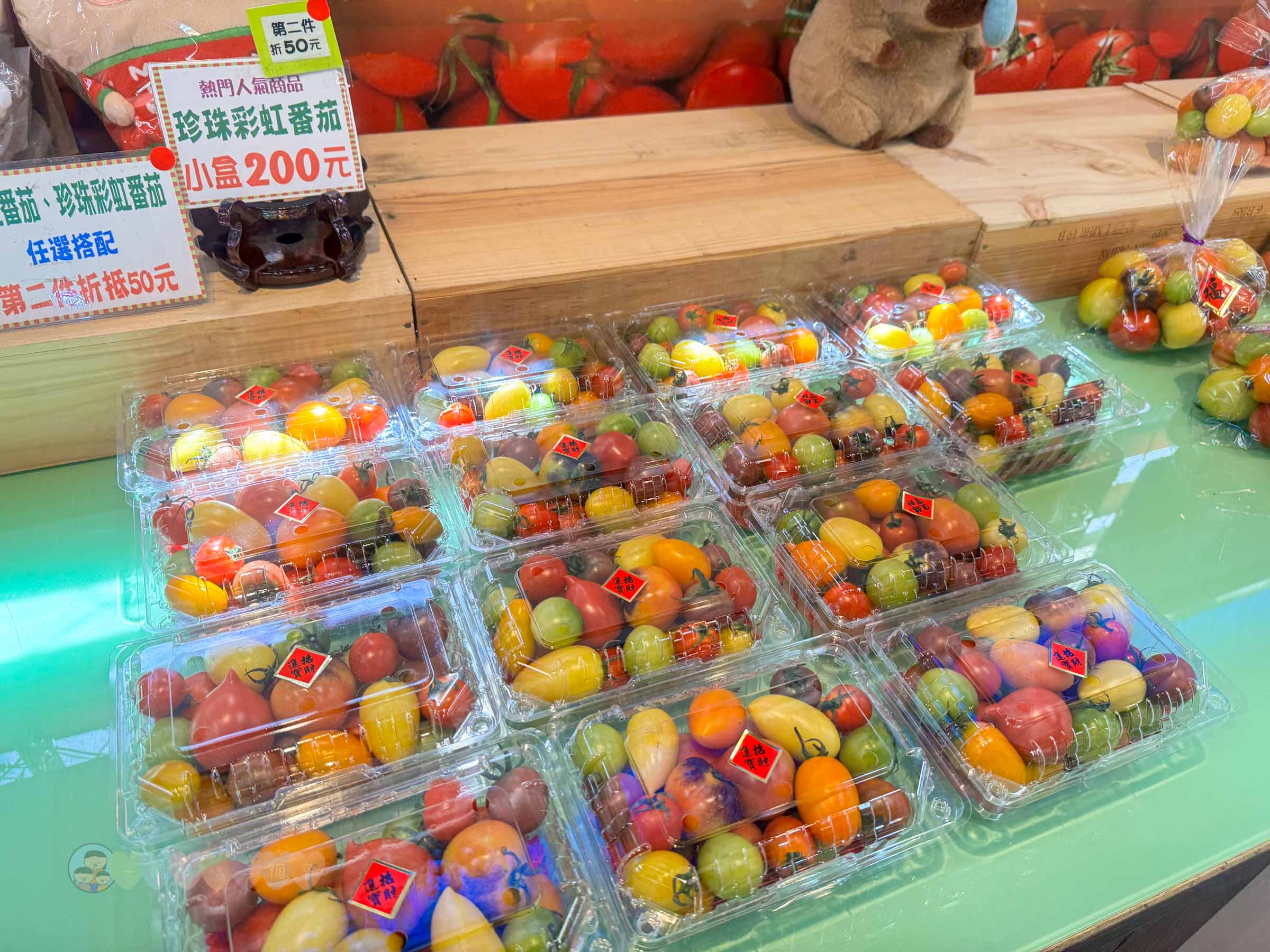 新竹|金勇番茄農場》免門票景點,世界各國番茄聯合國,採番茄,搗麻糬、diy體驗。 - 第15張圖