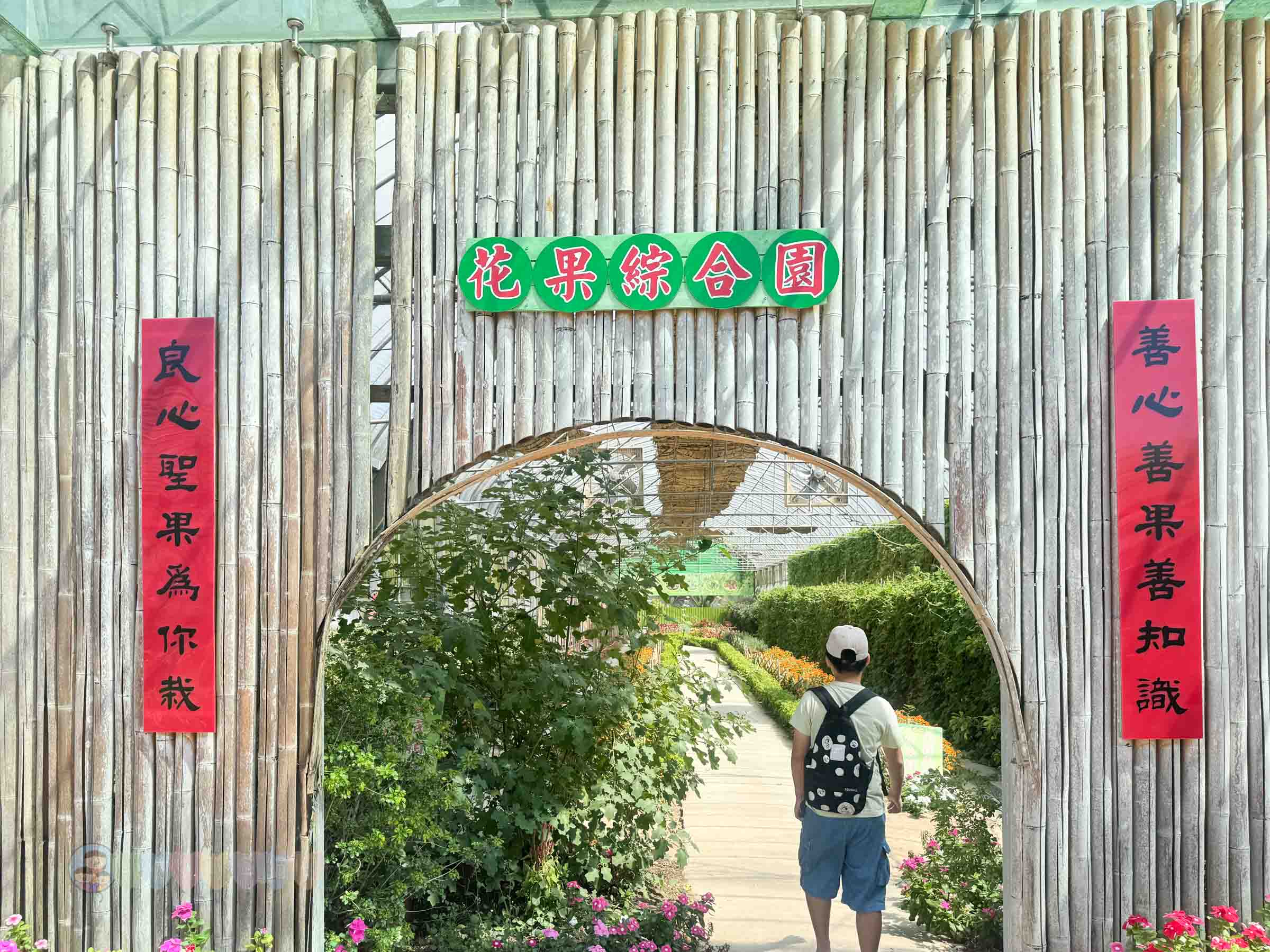 新竹|金勇番茄農場》免門票景點,世界各國番茄聯合國,採番茄,搗麻糬、diy體驗。 - 第47張圖