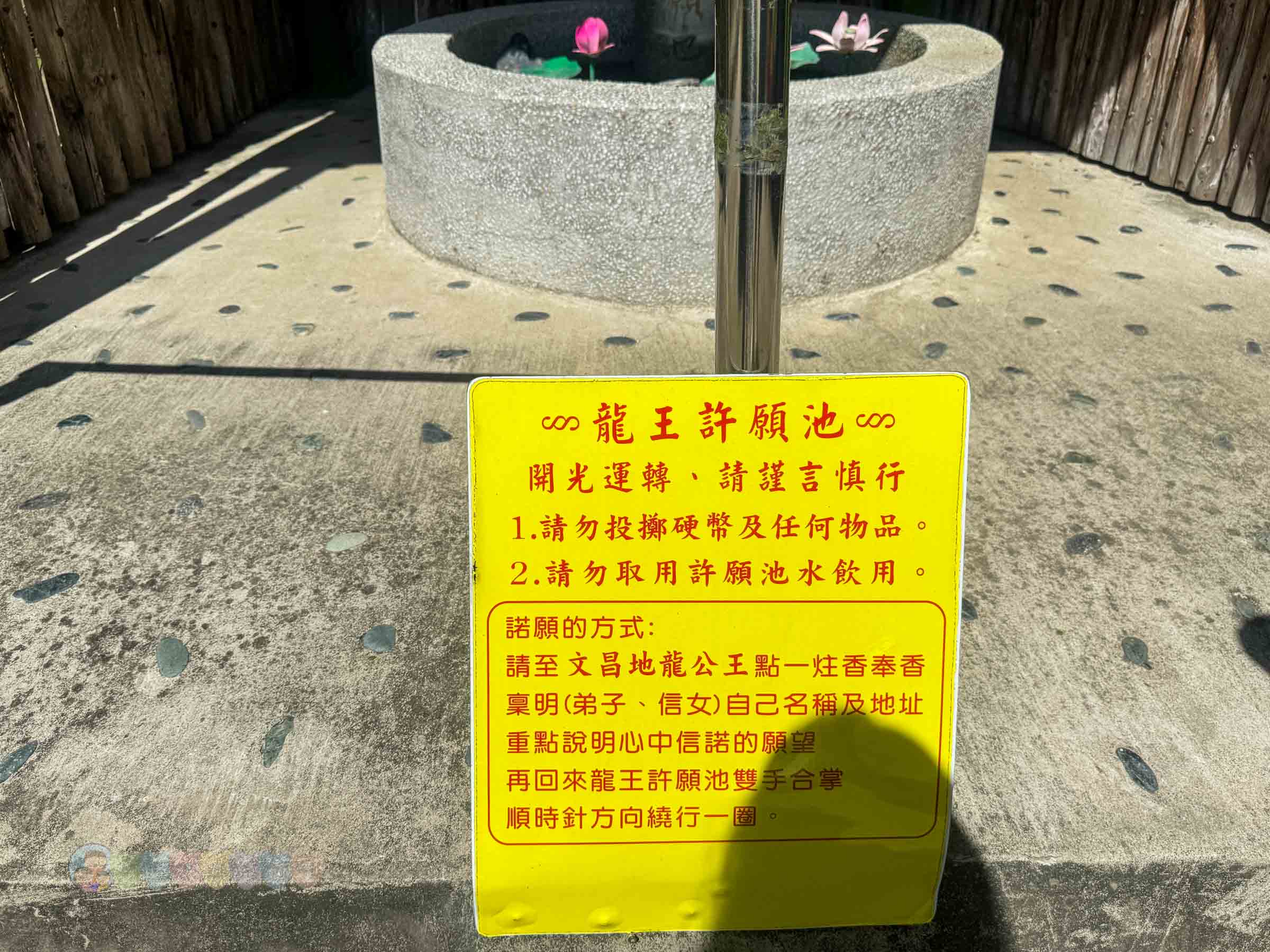 新竹|金勇番茄農場》免門票景點,世界各國番茄聯合國,採番茄,搗麻糬、diy體驗。 - 第58張圖