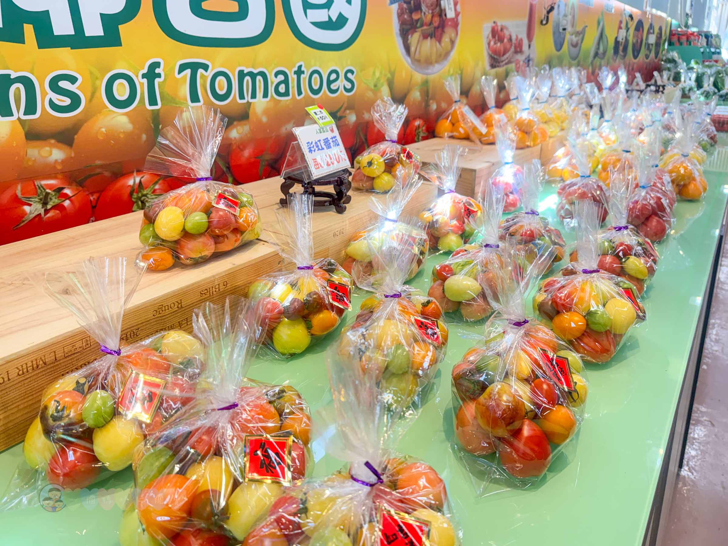 新竹|金勇番茄農場》免門票景點,世界各國番茄聯合國,採番茄,搗麻糬、diy體驗。 - 第16張圖