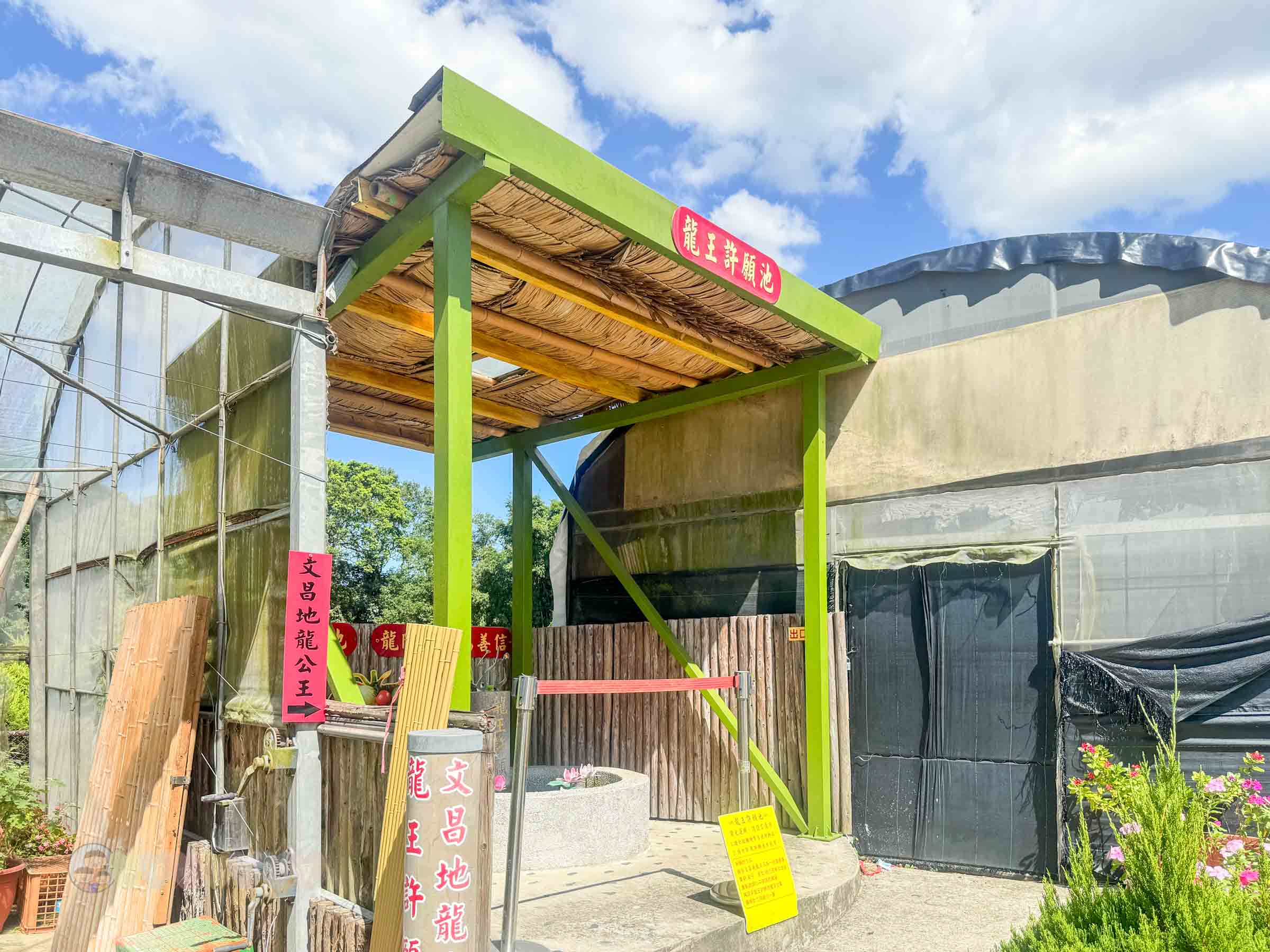 新竹|金勇番茄農場》免門票景點,世界各國番茄聯合國,採番茄,搗麻糬、diy體驗。 - 第57張圖