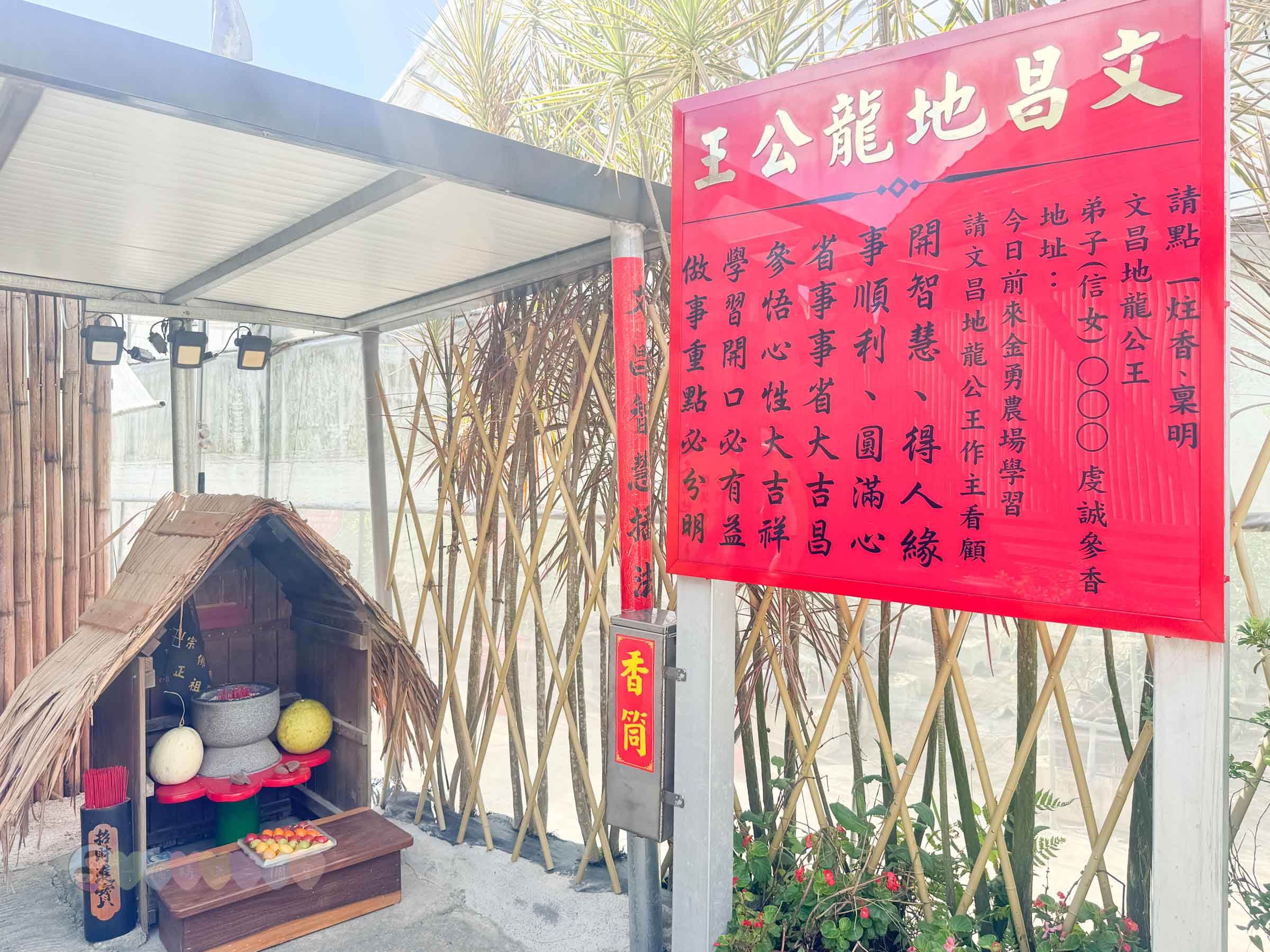 新竹|金勇番茄農場》免門票景點,世界各國番茄聯合國,採番茄,搗麻糬、diy體驗。 - 第60張圖