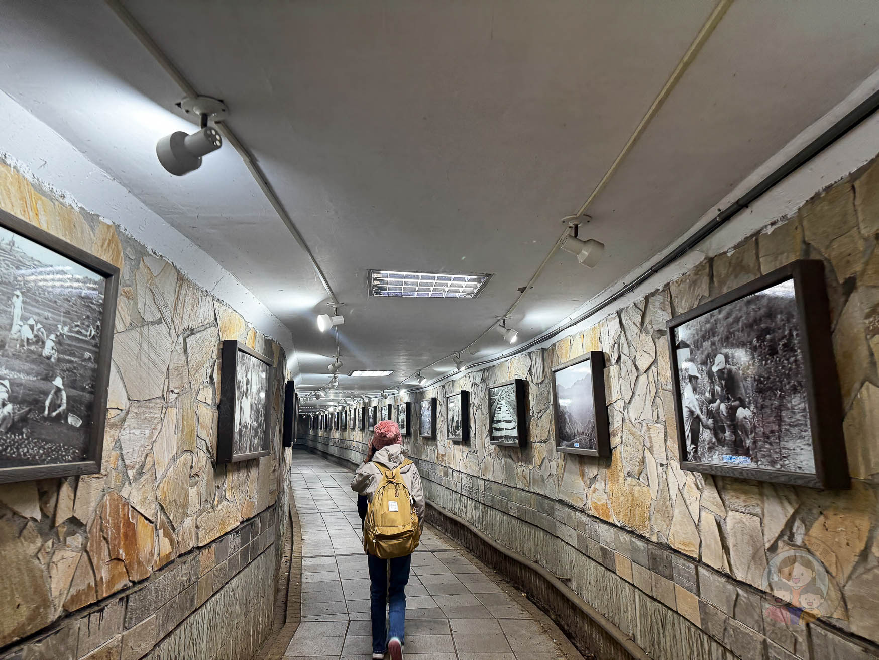南投｜清境農場》台灣小瑞士，綿羊秀、馬術秀，還有高空景觀天空步道。