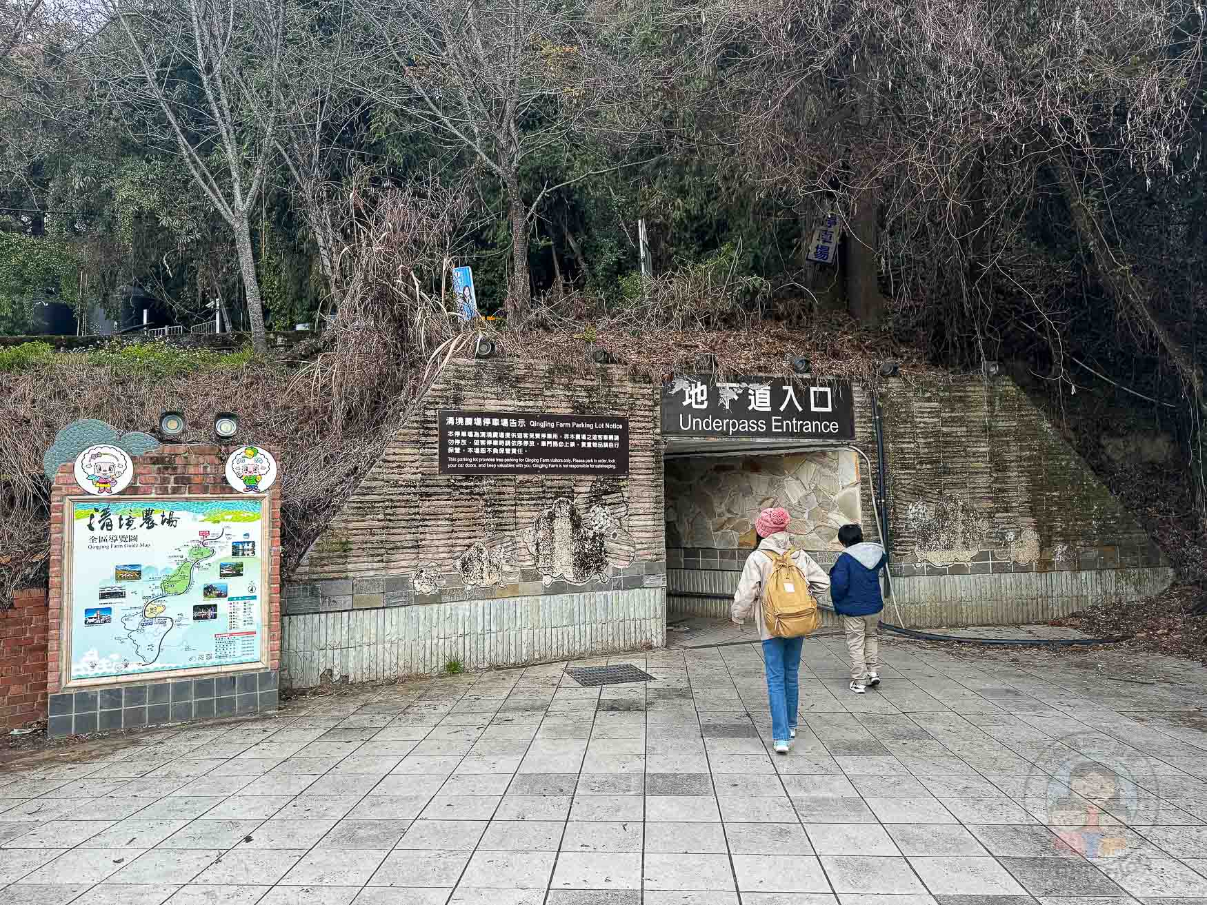 南投｜清境農場》台灣小瑞士，綿羊秀、馬術秀，還有高空景觀天空步道。