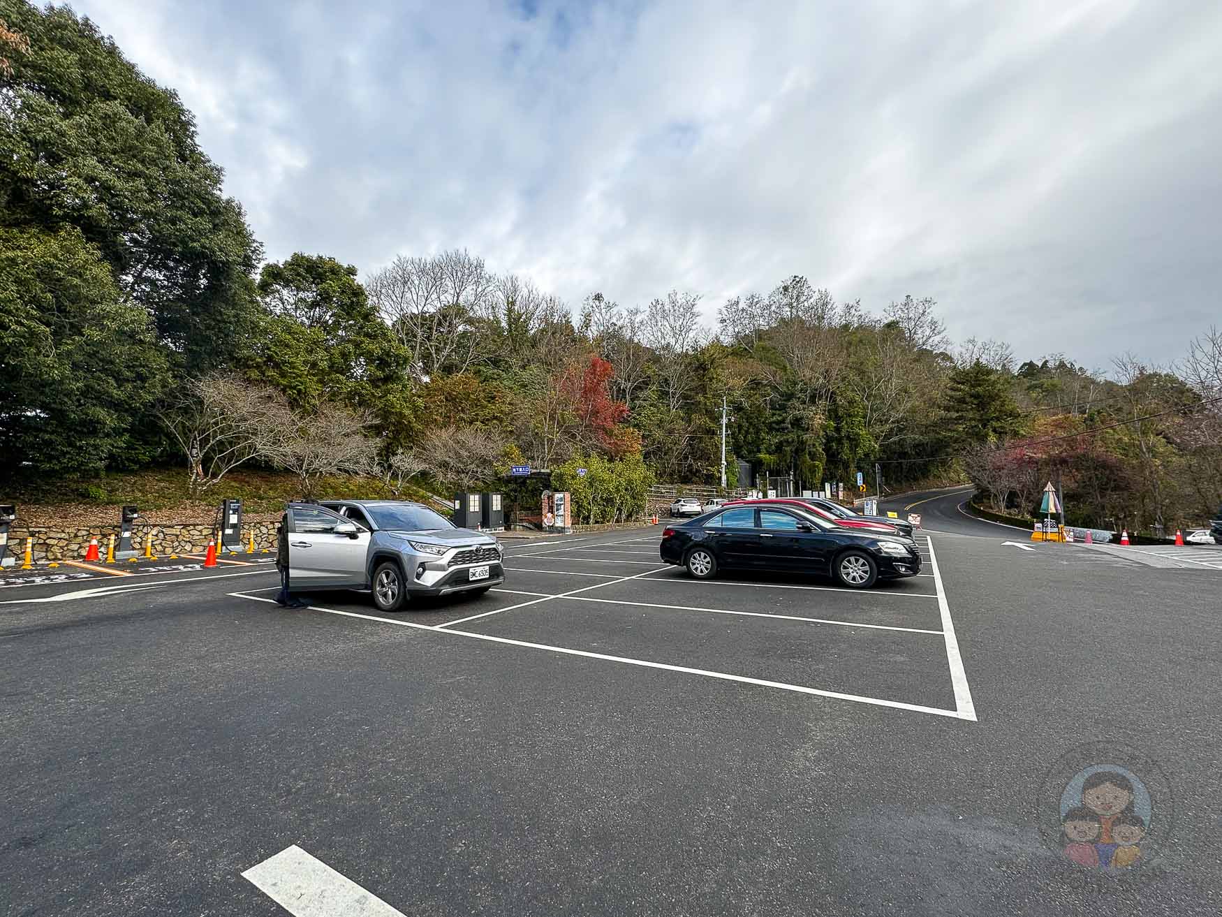 南投｜清境農場》台灣小瑞士，綿羊秀、馬術秀，還有高空景觀天空步道。