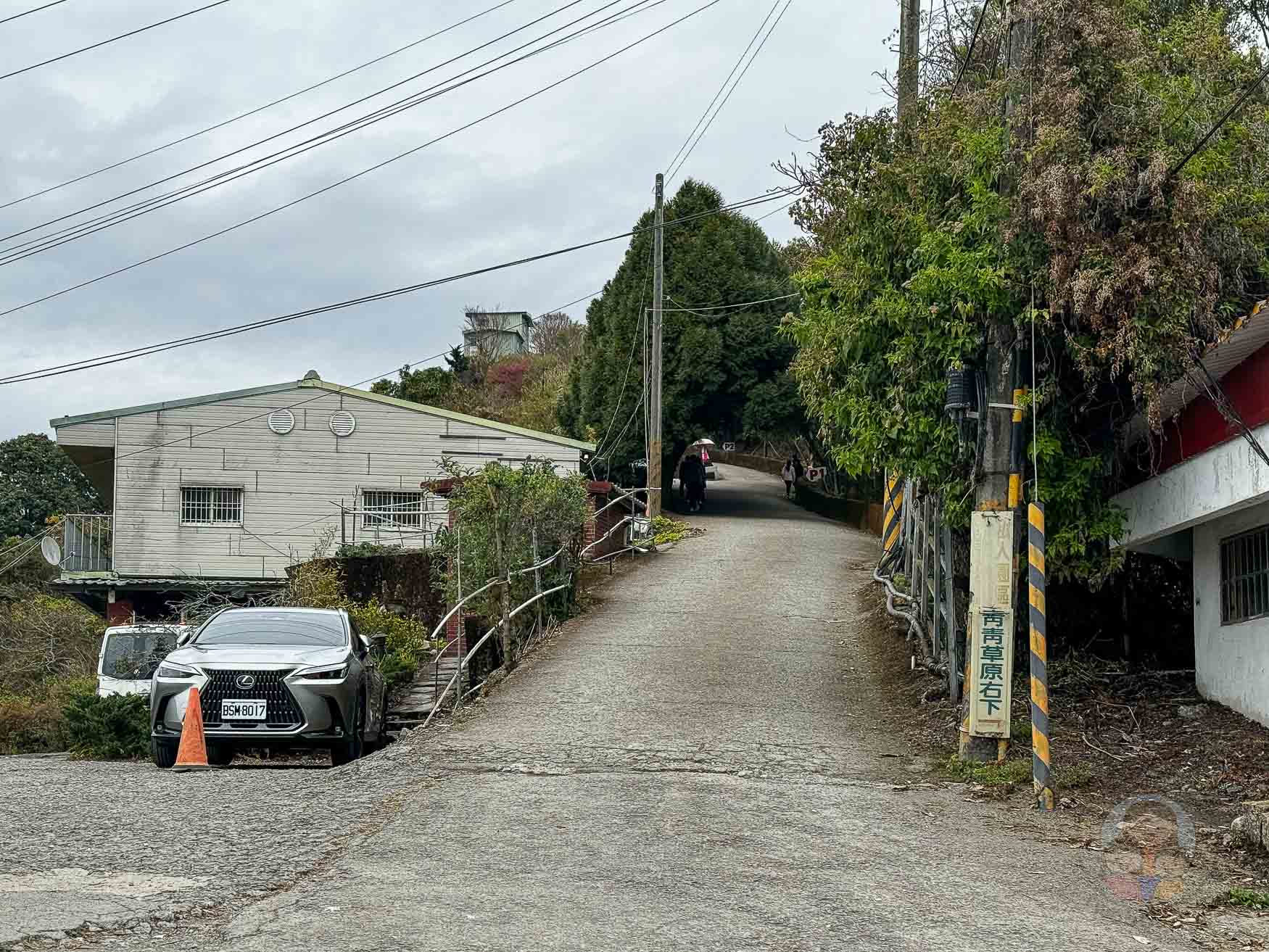 南投｜清境農場》台灣小瑞士，綿羊秀、馬術秀，還有高空景觀天空步道。