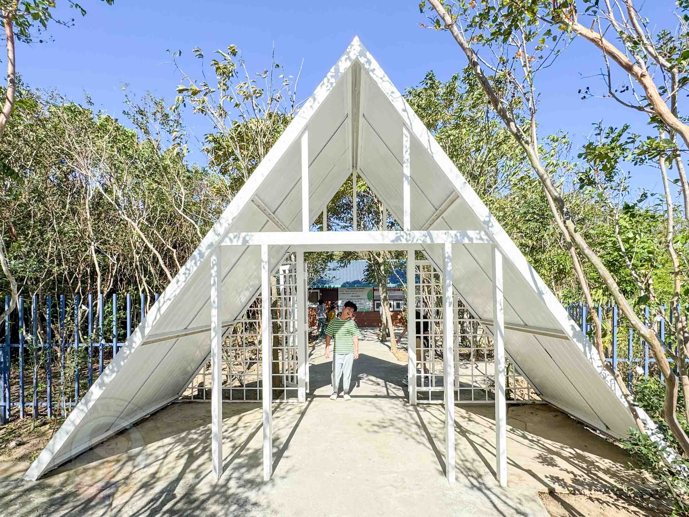 桃園|野趣森林》2025桃園親子景點!不插電迪士尼遊樂園,水陸空400項遊具一路暢玩,HIGH玩一整天。 - 第1張圖