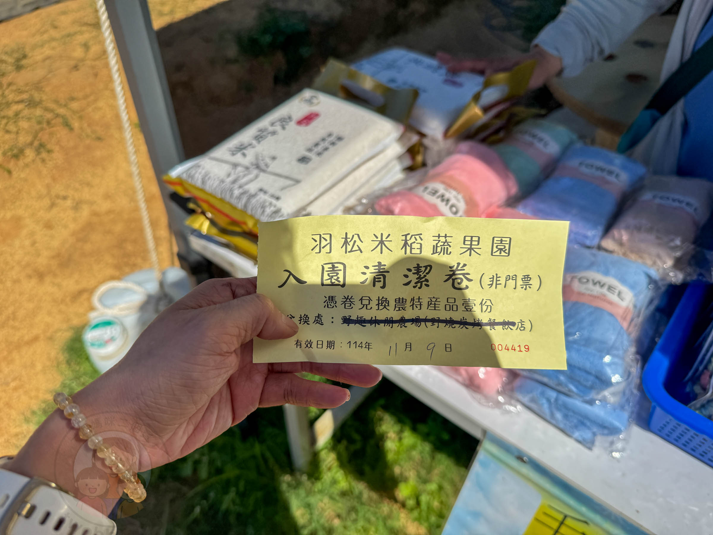 桃園|野趣森林》2025桃園親子景點!不插電迪士尼遊樂園,水陸空400項遊具一路暢玩,HIGH玩一整天。 - 第5張圖