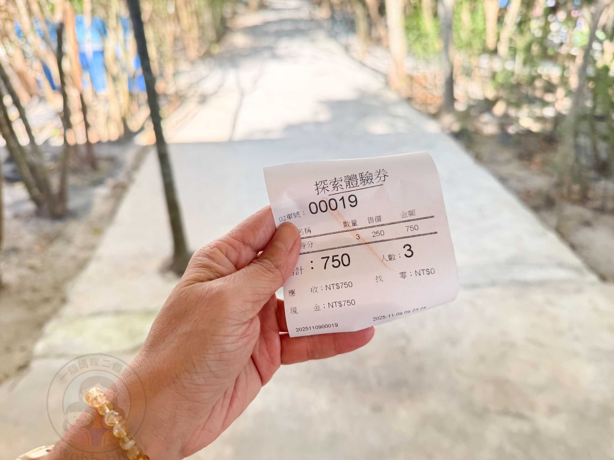 桃園|野趣森林》2025桃園親子景點!不插電迪士尼遊樂園,水陸空400項遊具一路暢玩,HIGH玩一整天。 - 第10張圖