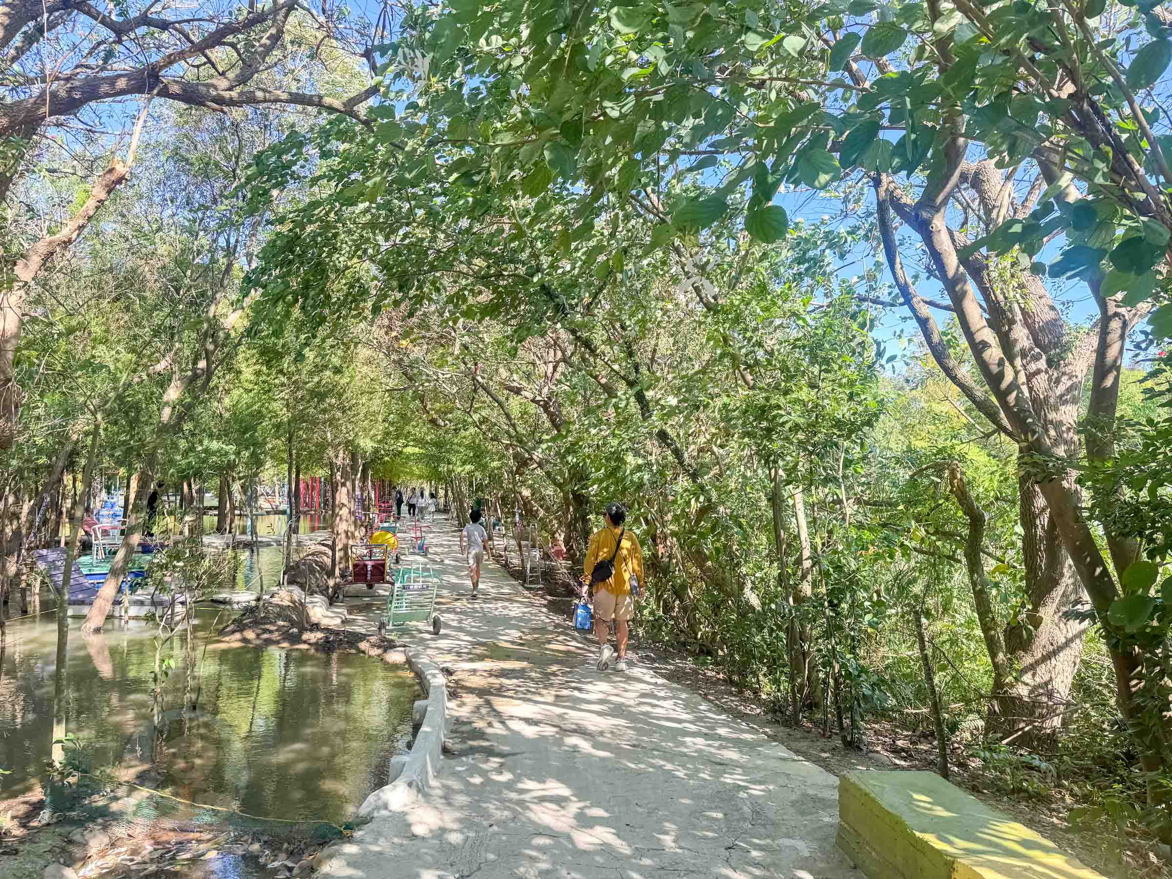 桃園|野趣森林》2025桃園親子景點!不插電迪士尼遊樂園,水陸空400項遊具一路暢玩,HIGH玩一整天。 - 第13張圖