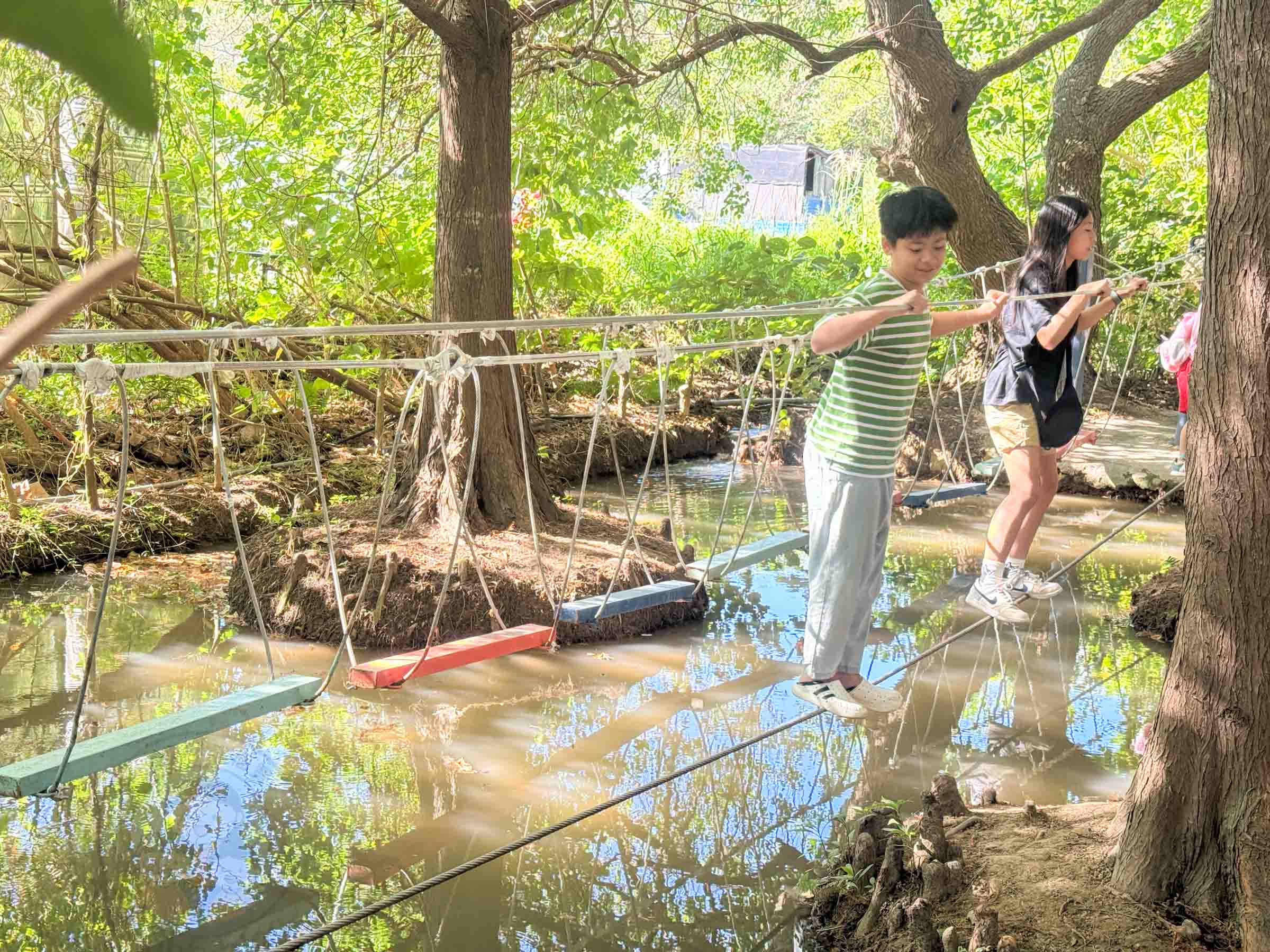 桃園|野趣森林》2025桃園親子景點!不插電迪士尼遊樂園,水陸空400項遊具一路暢玩,HIGH玩一整天。 - 第31張圖