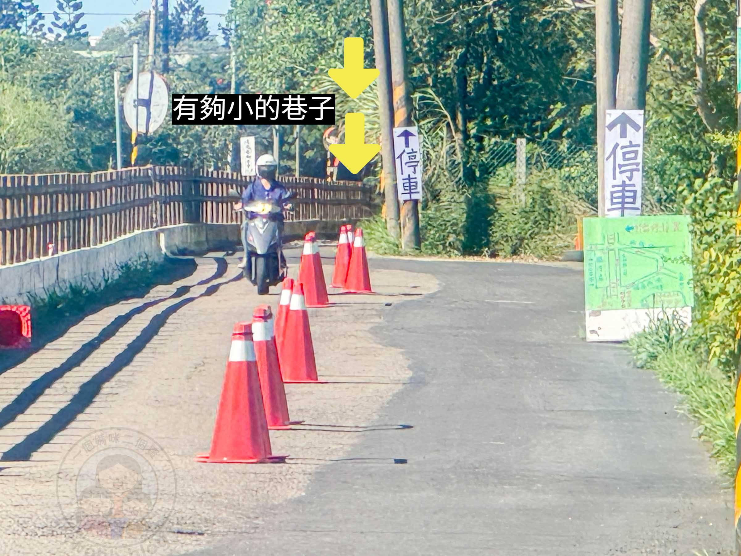 桃園|野趣森林》2025桃園親子景點!不插電迪士尼遊樂園,水陸空400項遊具一路暢玩,HIGH玩一整天。 - 第3張圖