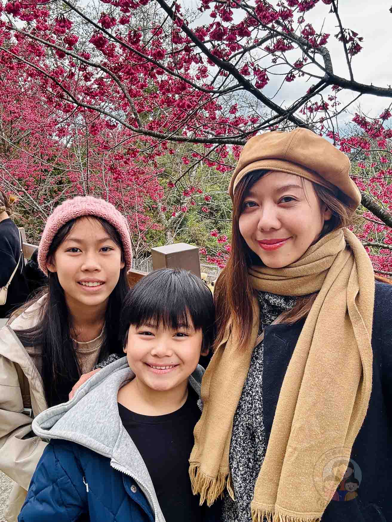 南投｜清境農場》台灣小瑞士，綿羊秀、馬術秀，還有高空景觀天空步道。