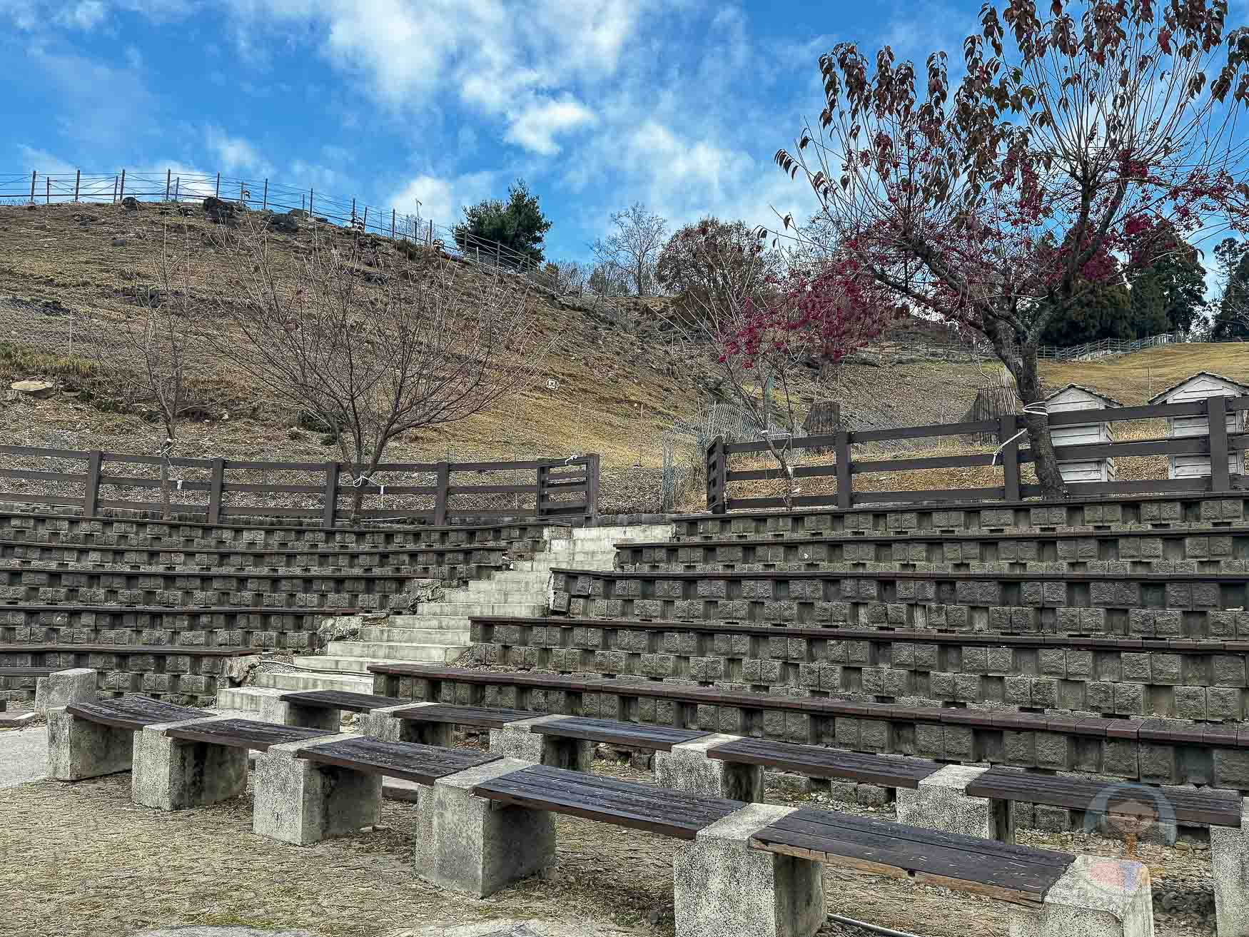 南投｜清境農場》台灣小瑞士，綿羊秀、馬術秀，還有高空景觀天空步道。