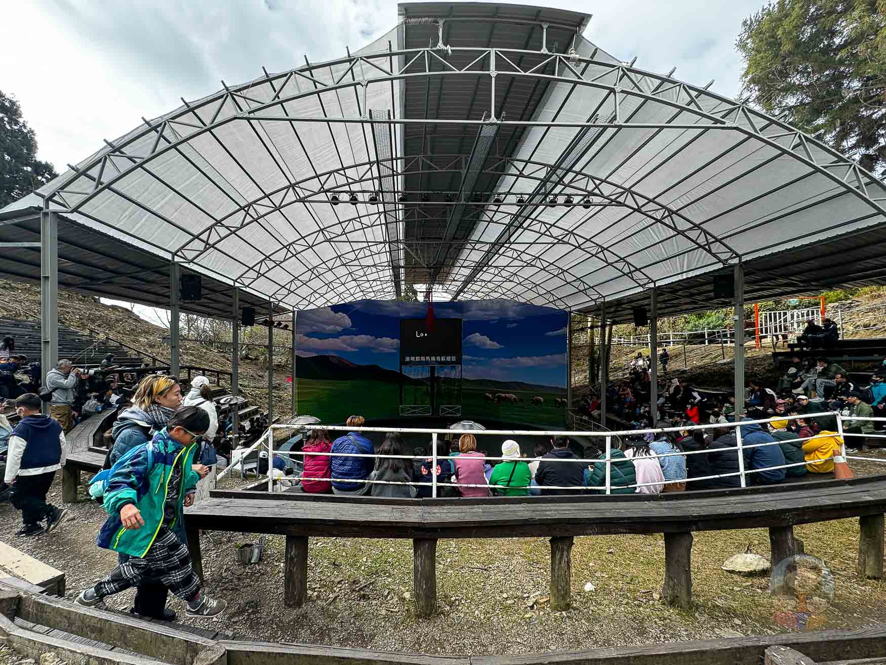 南投｜清境農場》台灣小瑞士，綿羊秀、馬術秀，還有高空景觀天空步道。