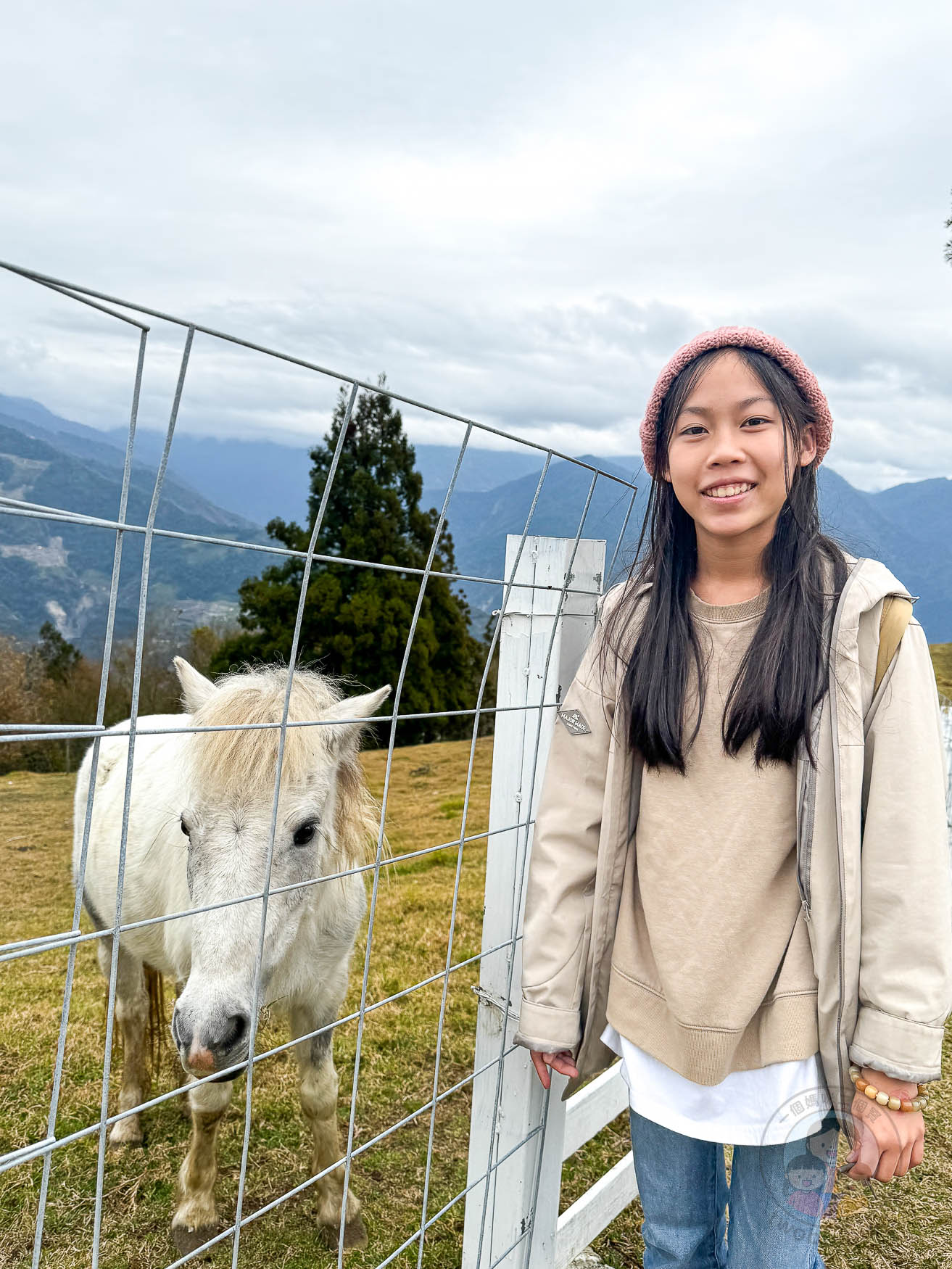 南投｜清境農場》台灣小瑞士，綿羊秀、馬術秀，還有高空景觀天空步道。