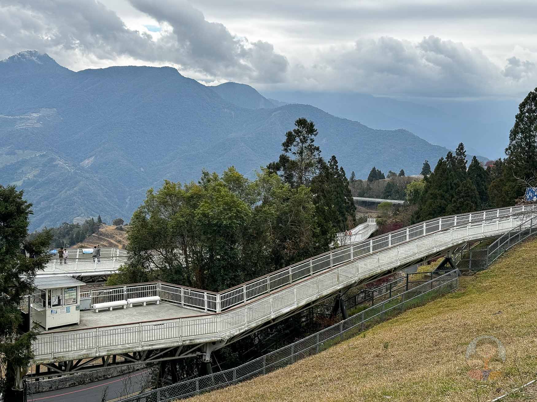 南投｜清境農場》台灣小瑞士，綿羊秀、馬術秀，還有高空景觀天空步道。