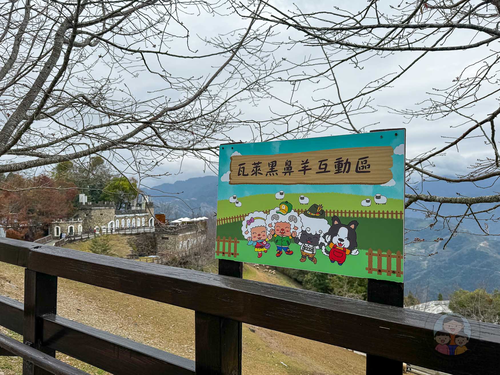 南投｜清境農場》台灣小瑞士，綿羊秀、馬術秀，還有高空景觀天空步道。