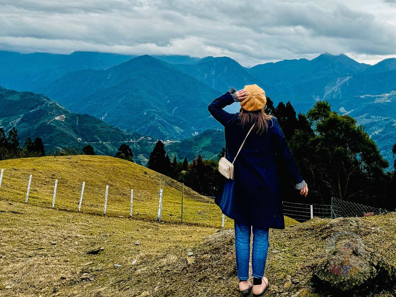 南投｜清境農場》台灣小瑞士，綿羊秀、馬術秀，還有高空景觀天空步道。