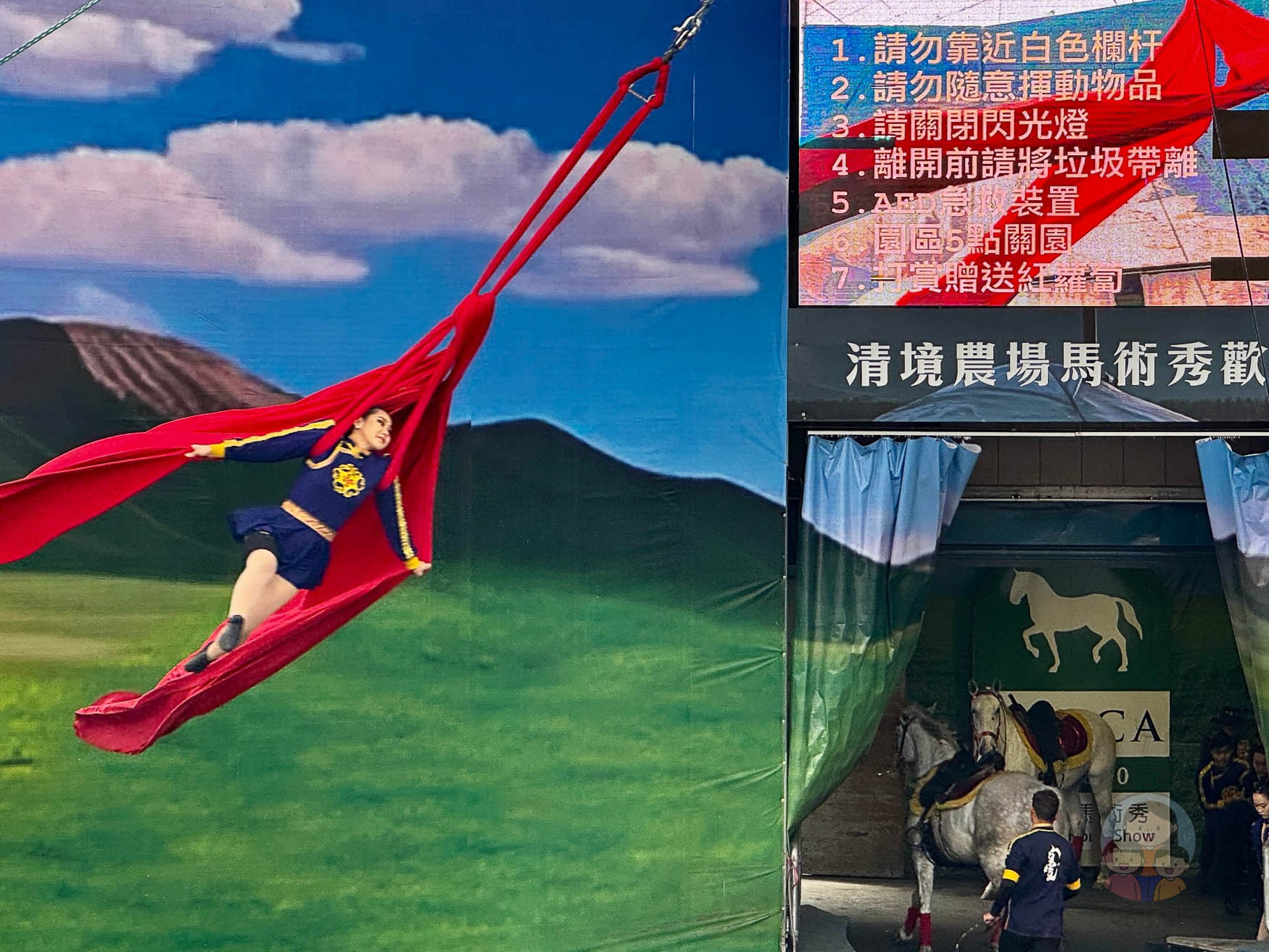 南投｜清境農場》台灣小瑞士，綿羊秀、馬術秀，還有高空景觀天空步道。