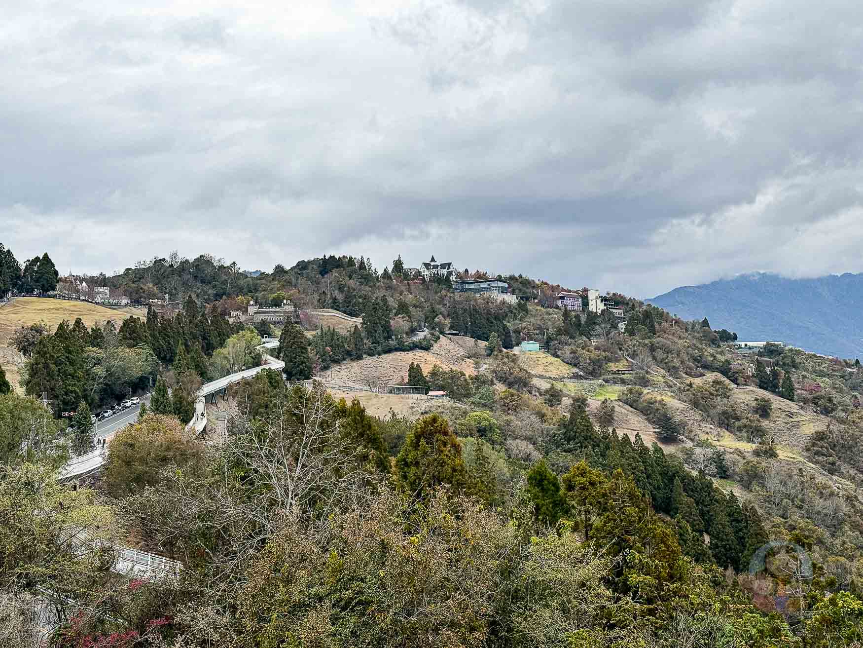 南投｜清境農場》台灣小瑞士，綿羊秀、馬術秀，還有高空景觀天空步道。