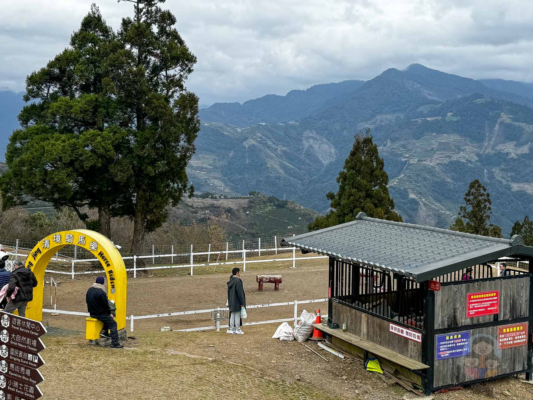 南投｜清境農場》台灣小瑞士，綿羊秀、馬術秀，還有高空景觀天空步道。