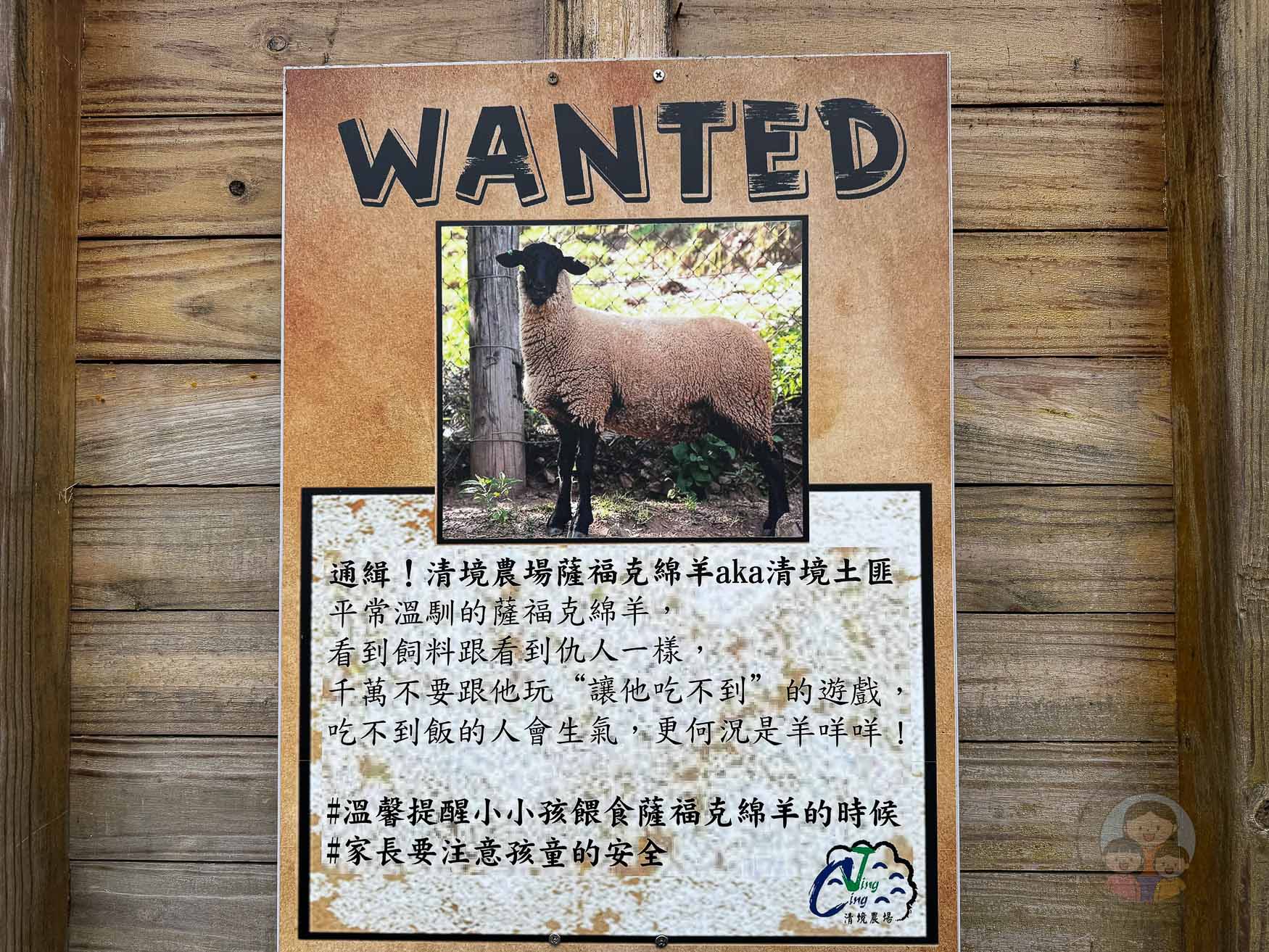 南投｜清境農場》台灣小瑞士，綿羊秀、馬術秀，還有高空景觀天空步道。