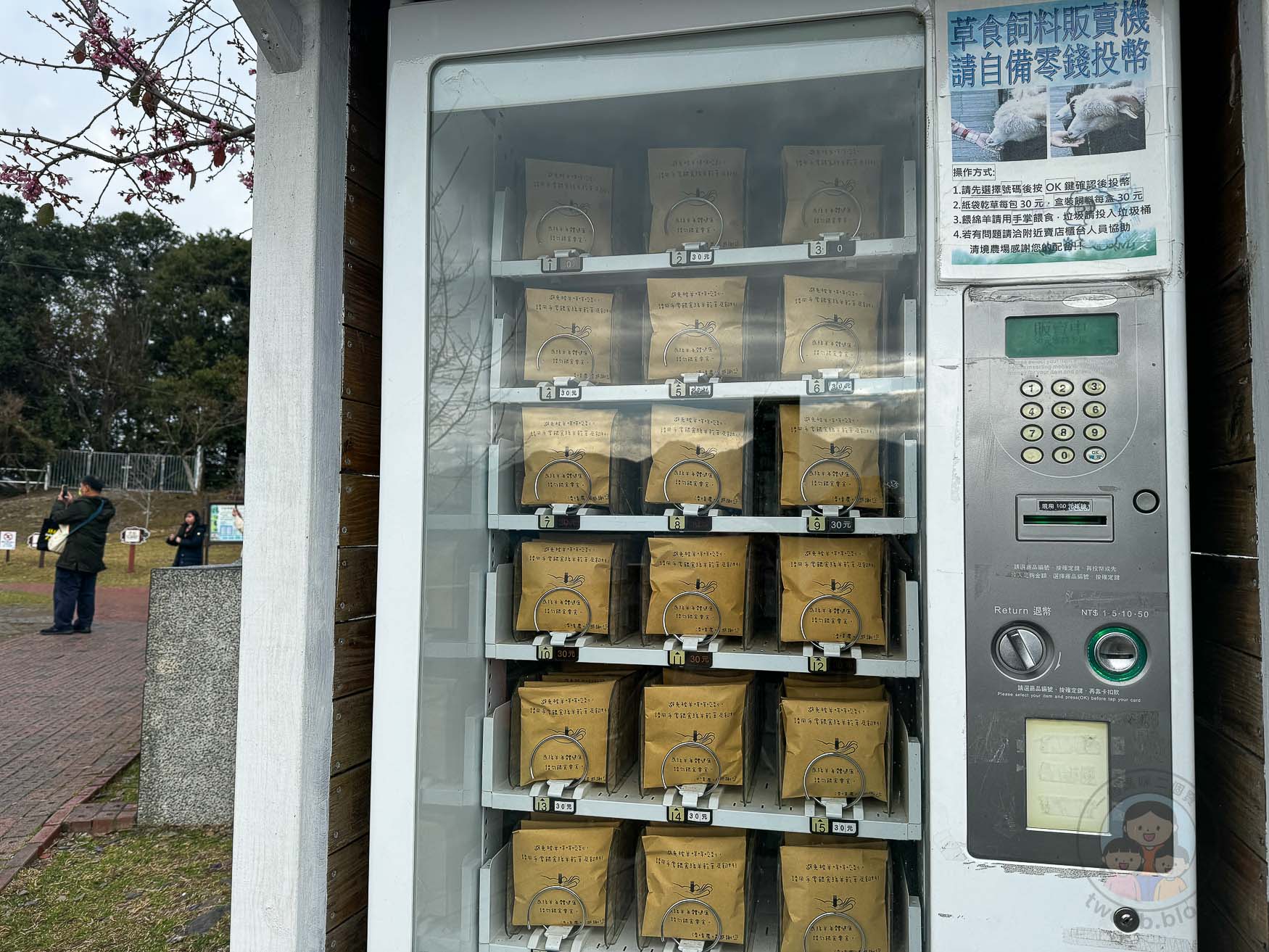 南投｜清境農場》台灣小瑞士，綿羊秀、馬術秀，還有高空景觀天空步道。